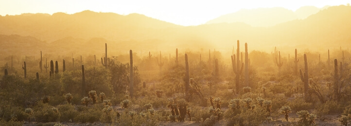 HVAC Services in Desert Mountain, AZ