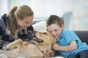 iStock 537508184 1920x1277