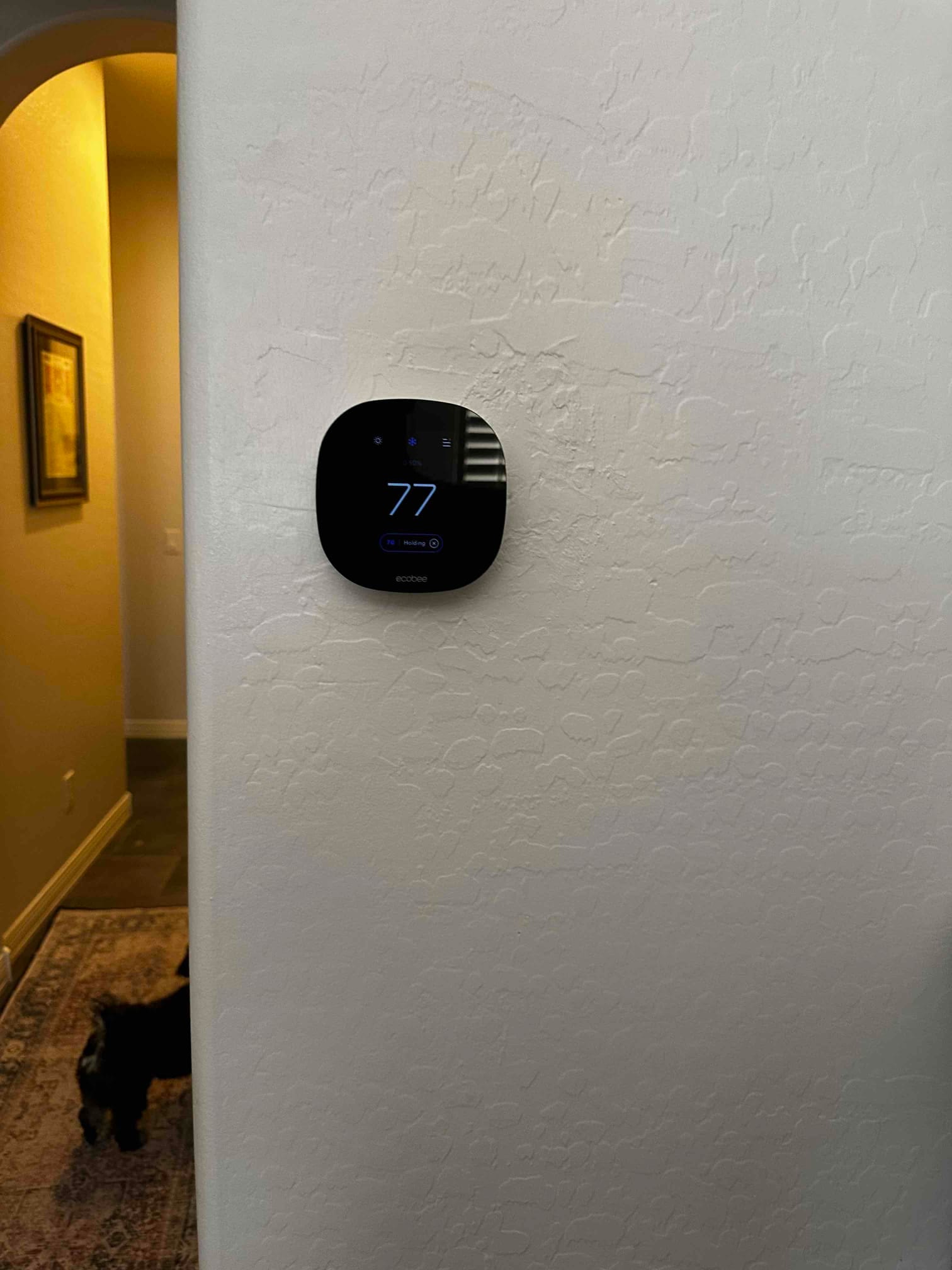 Wall-mounted smart thermostat installed and powered on, showing an indoor temperature reading of 77 degrees.