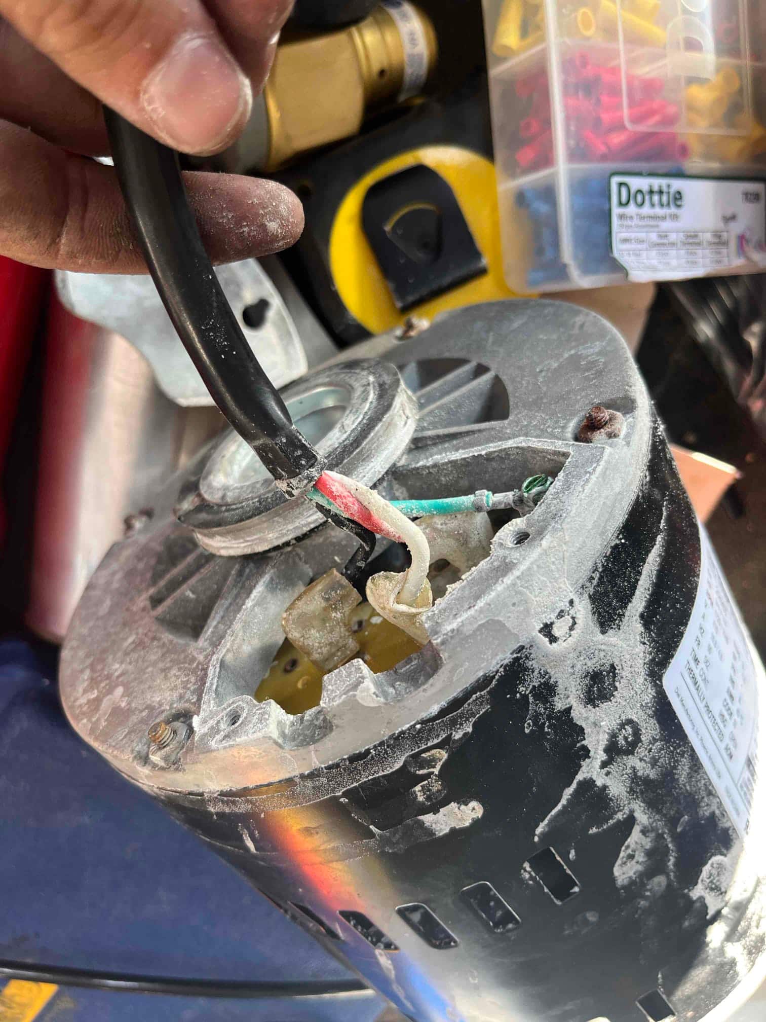 Evaporative cooler motor with wiring exposed at the junction box, showing black, white, red, and green conductors for replacement.