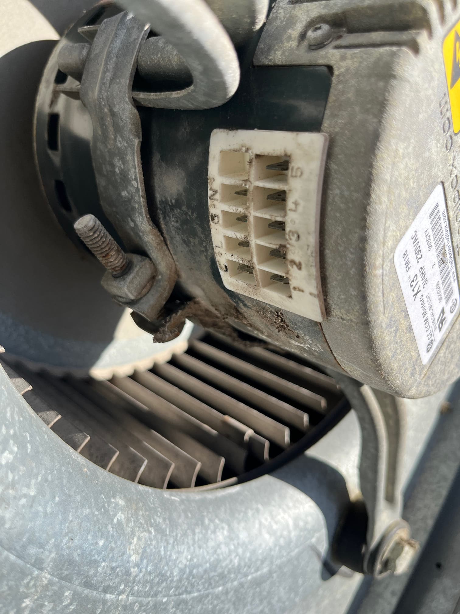 ECM blower motor and blower wheel assembly shown up close, with electrical connector and mounting hardware visible on the housing.