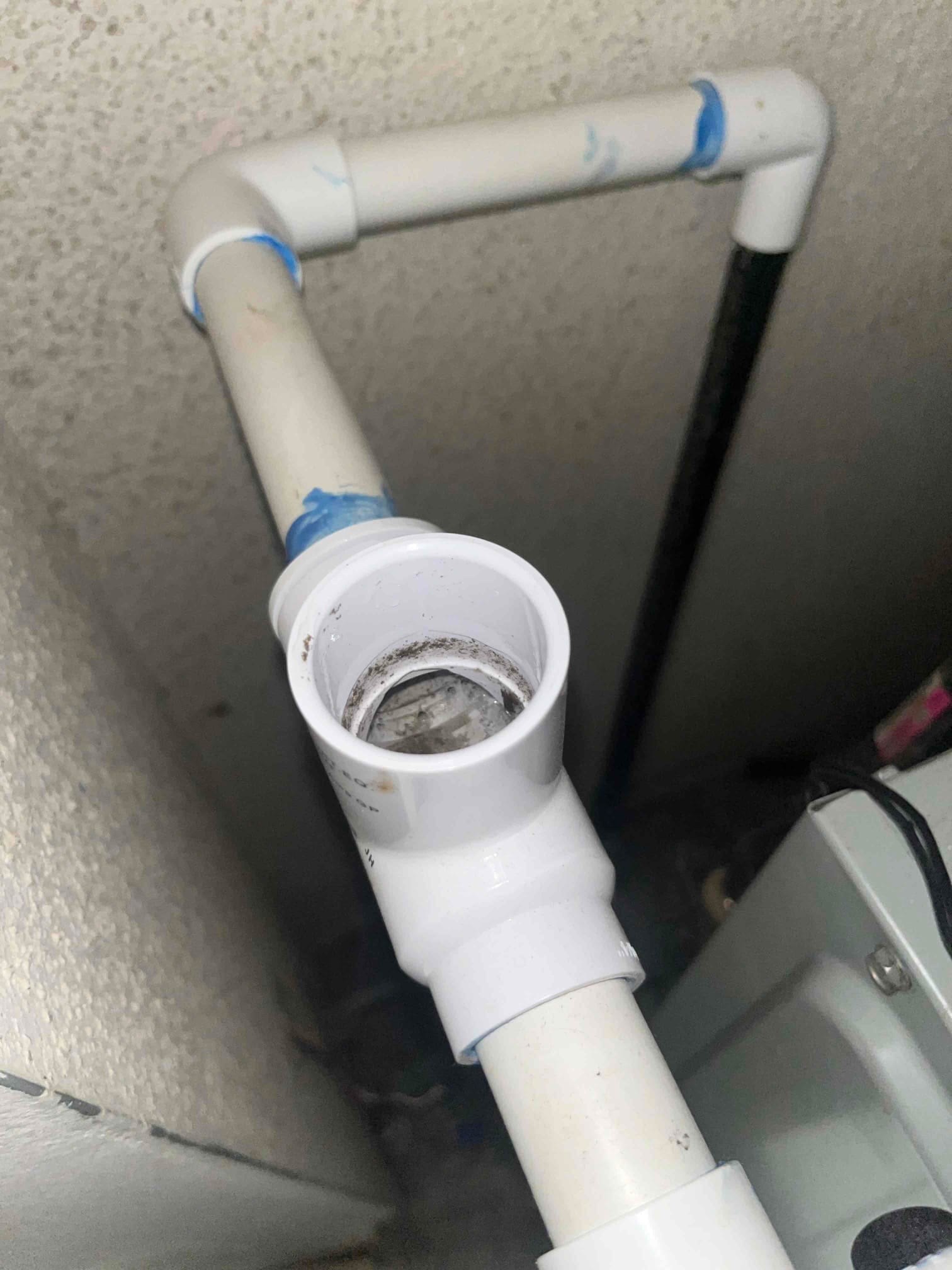 Open PVC cleanout on an HVAC condensate drain line shows standing water and debris inside the fitting.