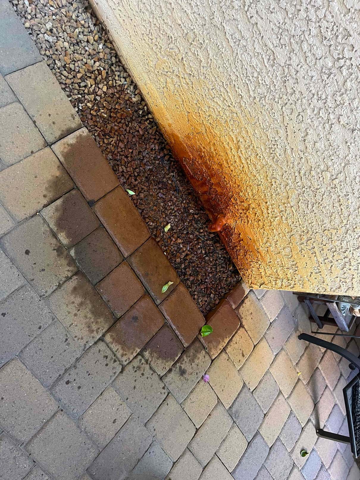 Rust-stained exterior wall and wet pavers from an air conditioner condensate drain outlet discharging onto the ground.