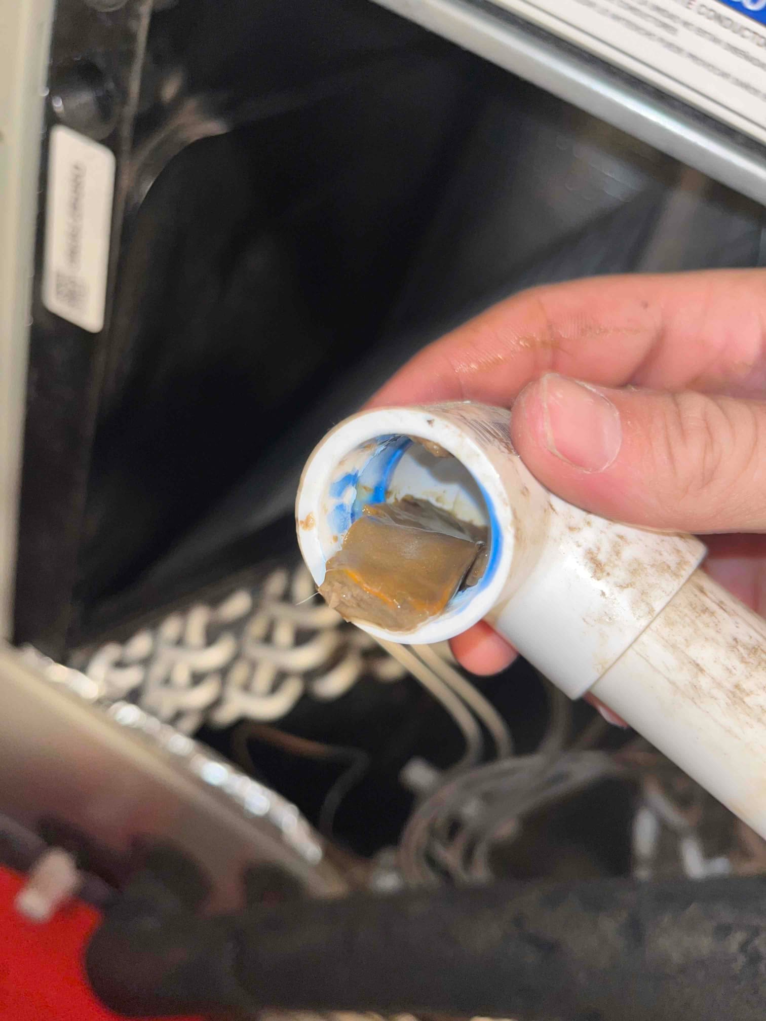 Technician holds a condensate drain cleanout with a brown debris blockage removed from the PVC fitting.