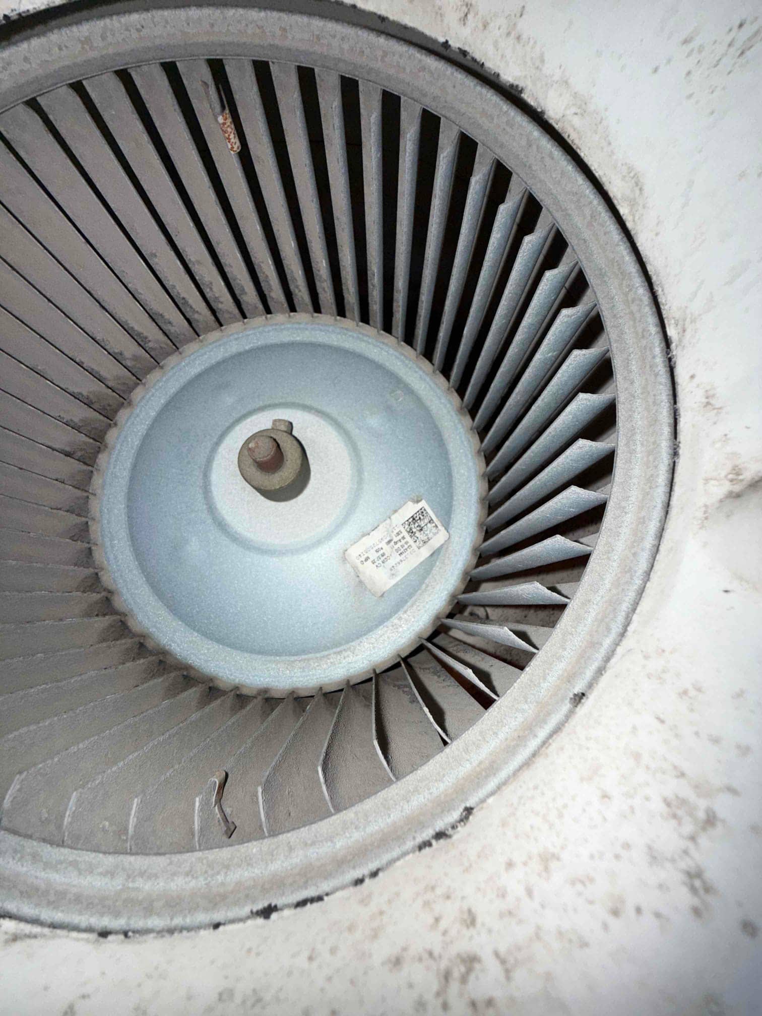 Indoor blower wheel and housing with visible dust buildup on fins and surrounding cabinet surfaces.
