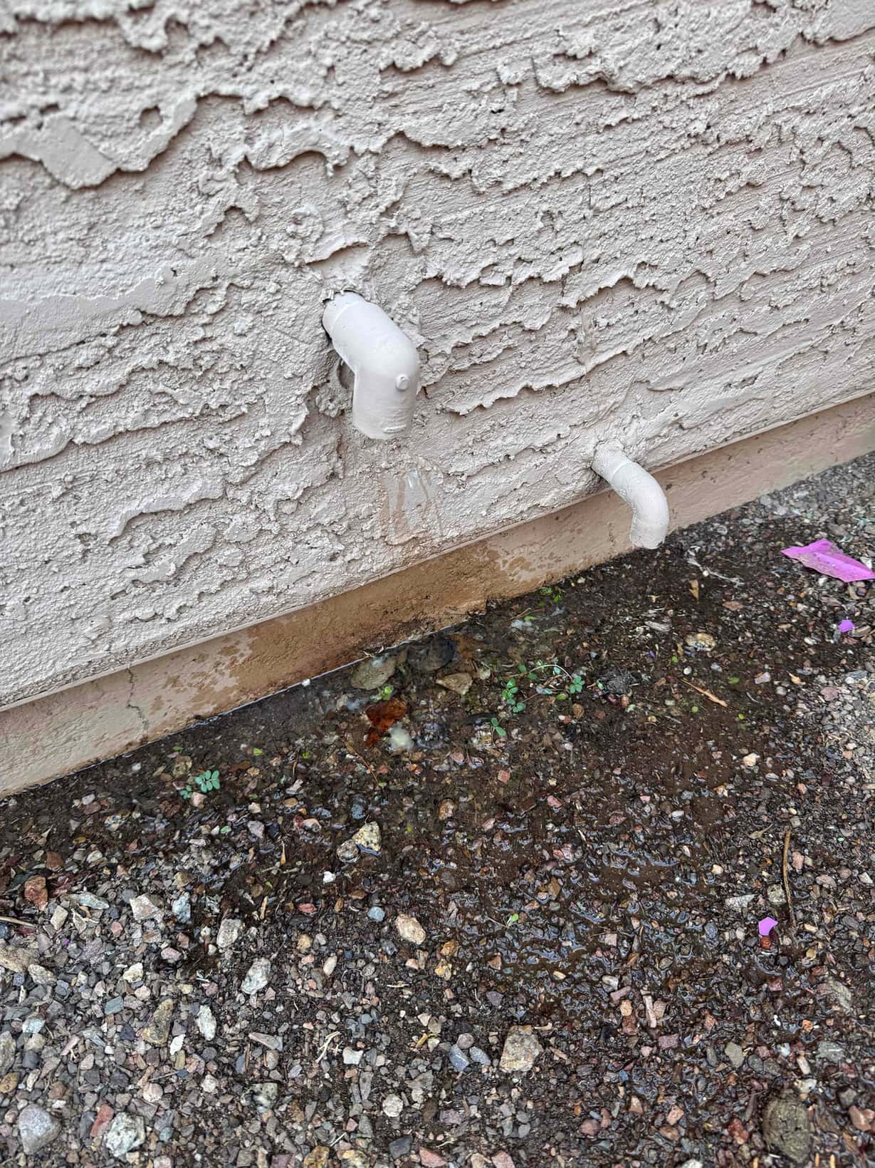 Condensate drain lines on exterior wall, with moisture and wet ground below indicating recent drain line flush.