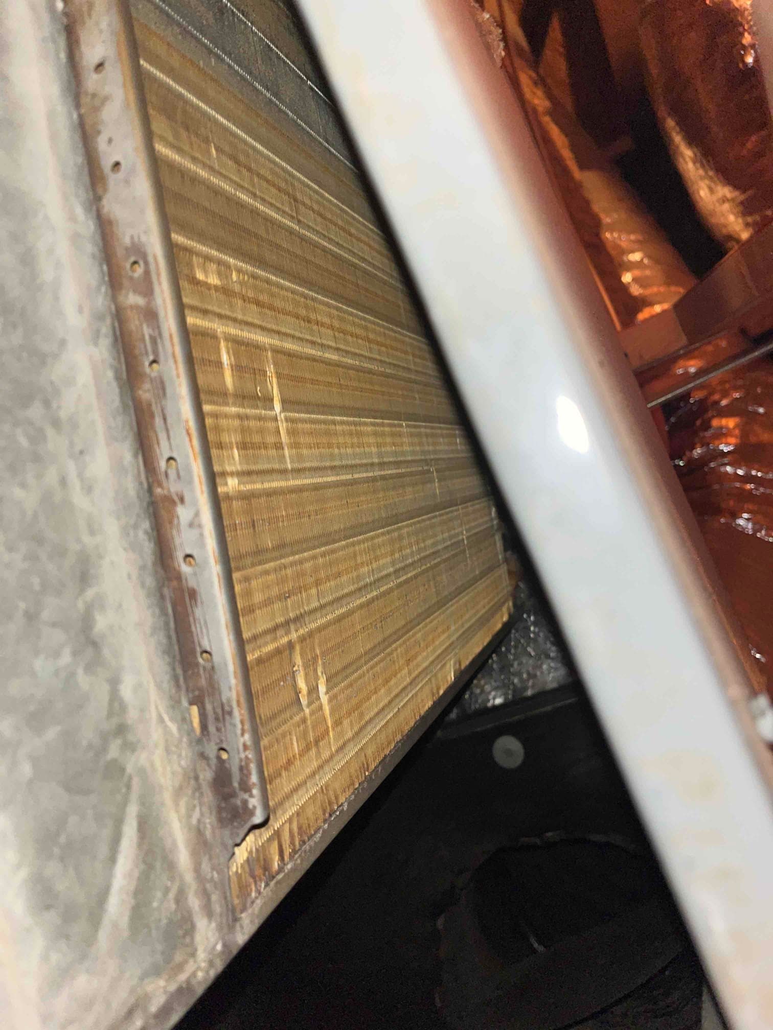 Evaporator coil assembly inside the air handler, showing clean copper fins and adjacent sheet metal housing.