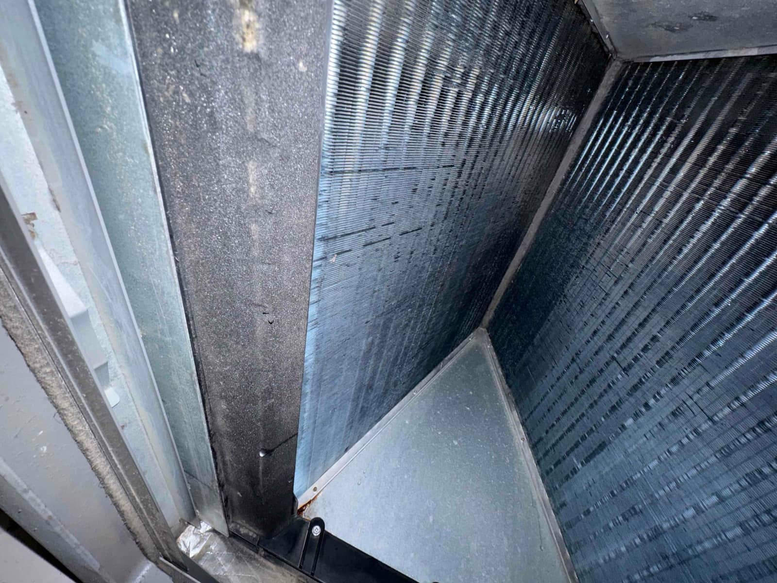 Interior of an air handler cabinet showing condensate pan area and reflective insulation, with signs of moisture staining along the panel.