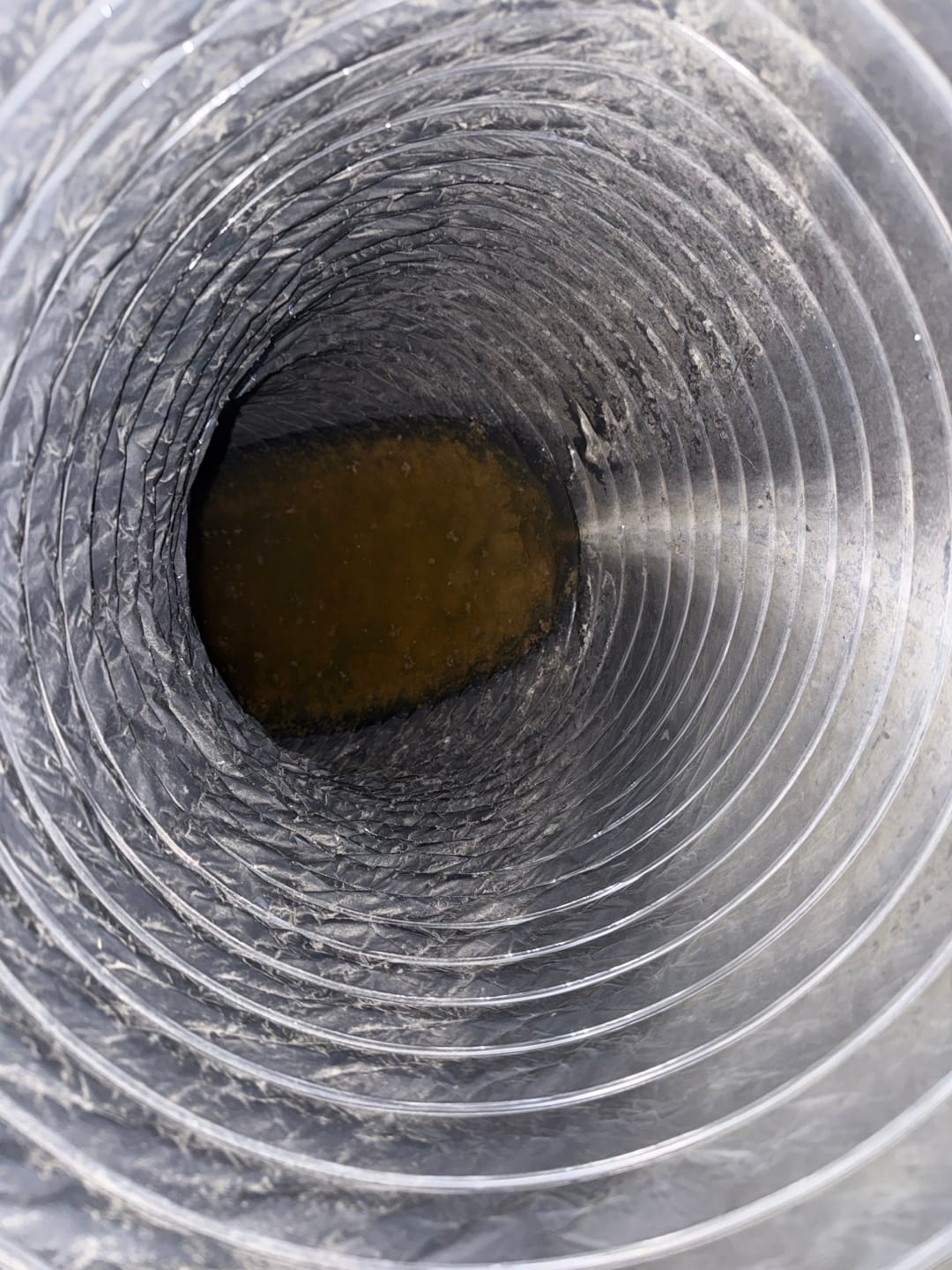 Interior of a flexible HVAC duct showing accumulated standing water and debris on the bottom surface.