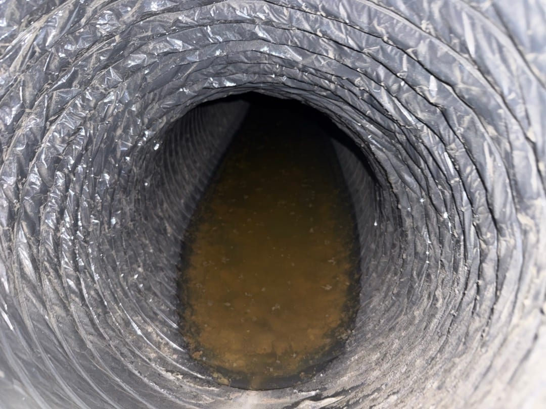 Interior of flexible HVAC duct shows standing dirty water pooled along the bottom and wet inner liner.