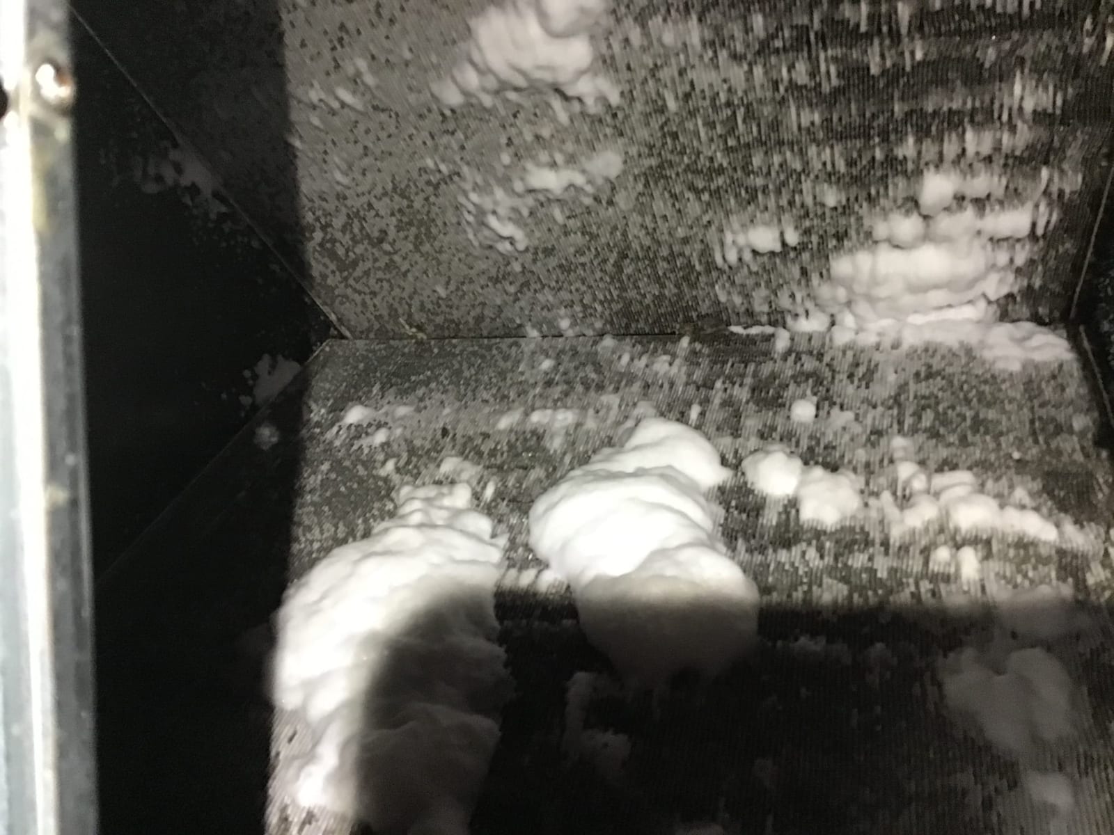 Evaporator coil fins coated with a white substance inside the air handler cabinet.
