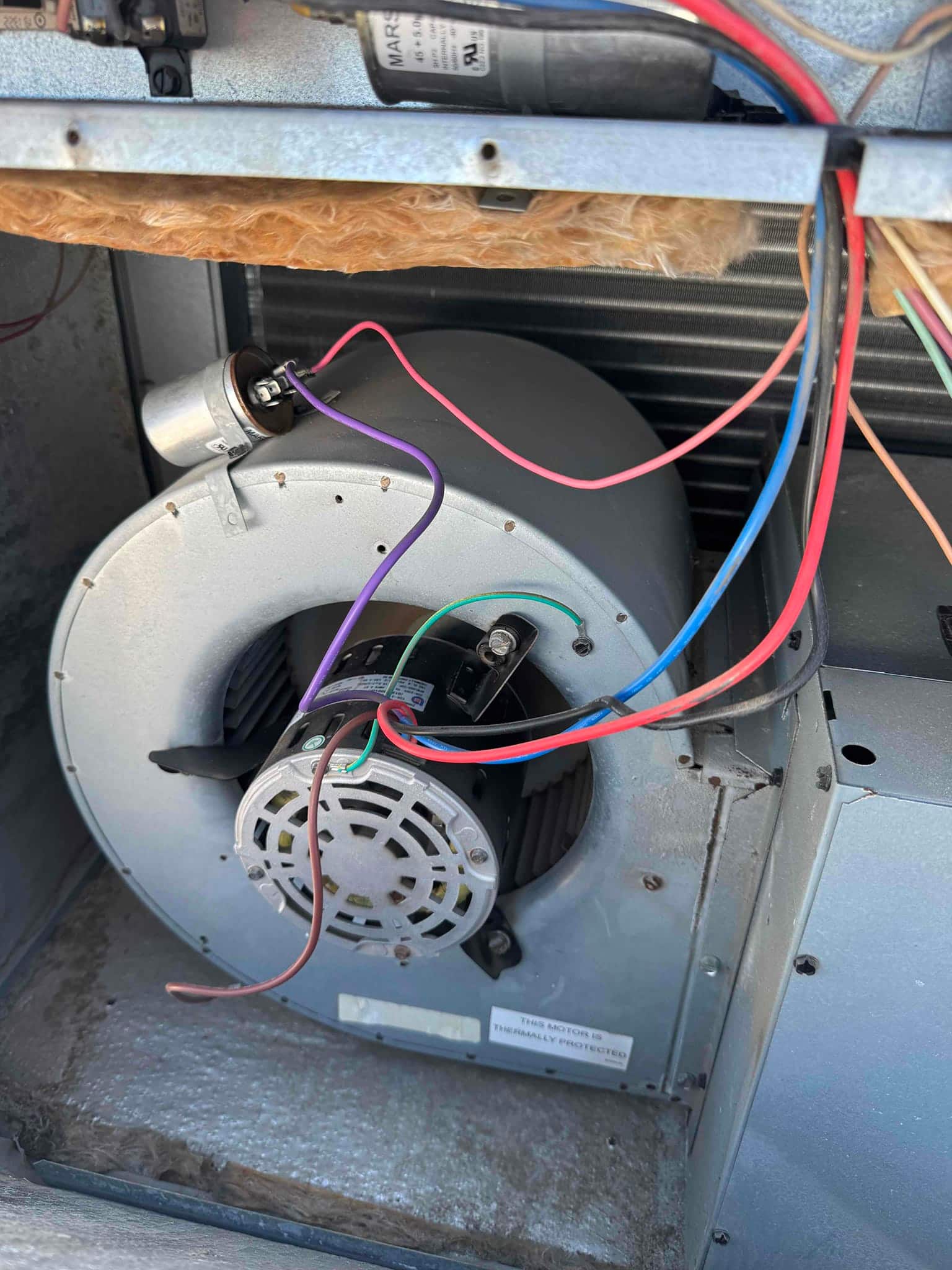 Blower assembly inside air handler showing motor, beltless squirrel cage fan, run capacitor, and connected wiring.