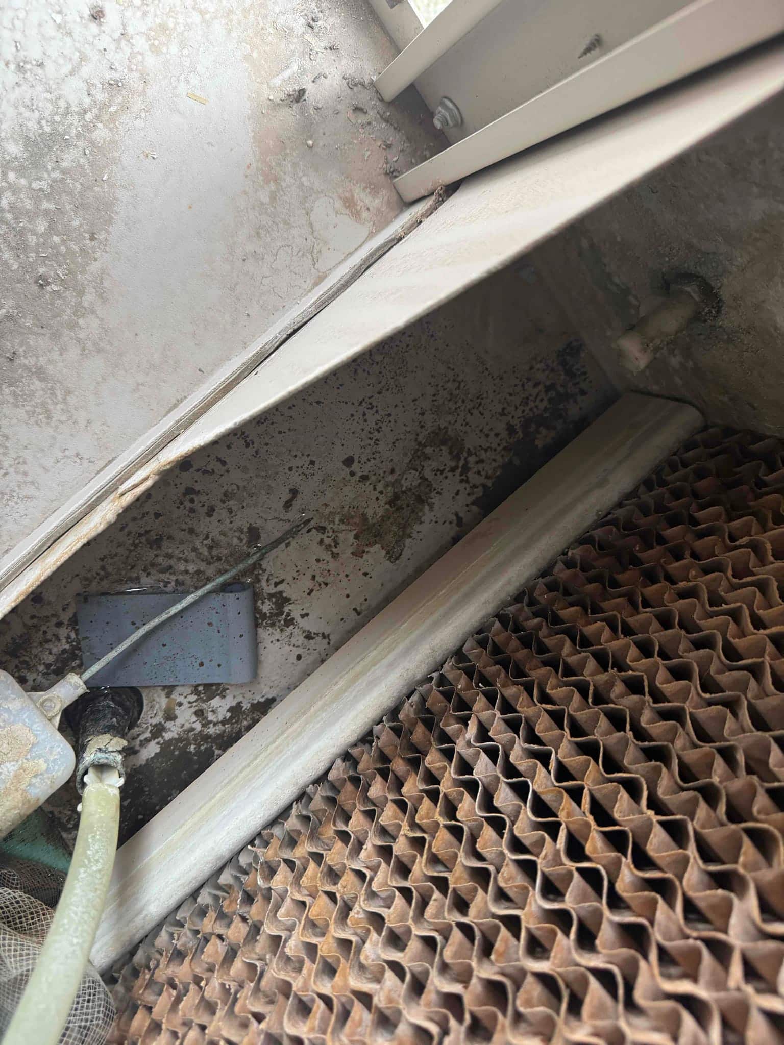 Evaporative cooler sump area showing float valve assembly, water supply hose, and wet cellulose media inside the unit.