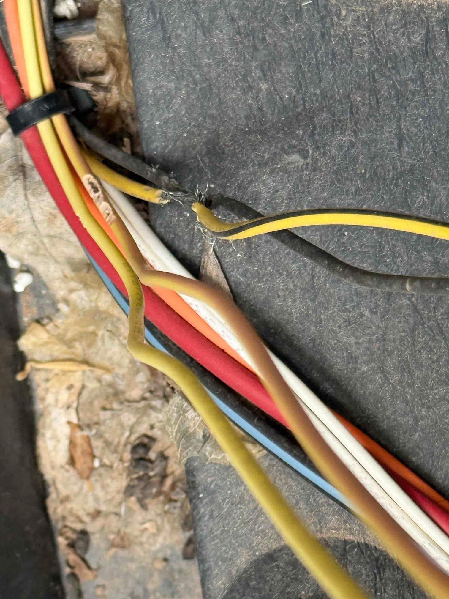 Damaged thermostat wiring bundle with multiple conductors, including a yellow wire with exposed copper and insulation wear.