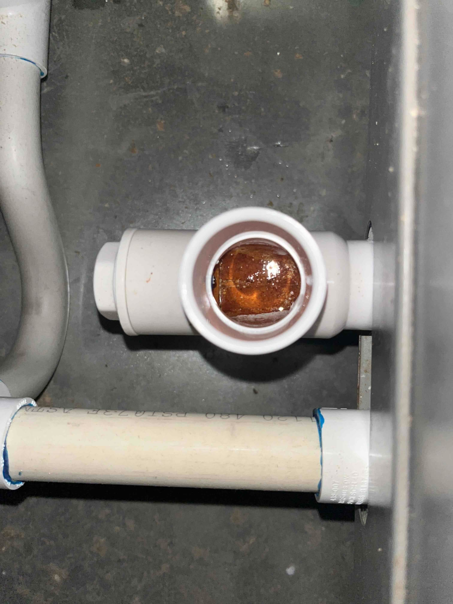 Clear PVC condensate drain cleanout with visible standing water and debris inside the trap near the air handler.