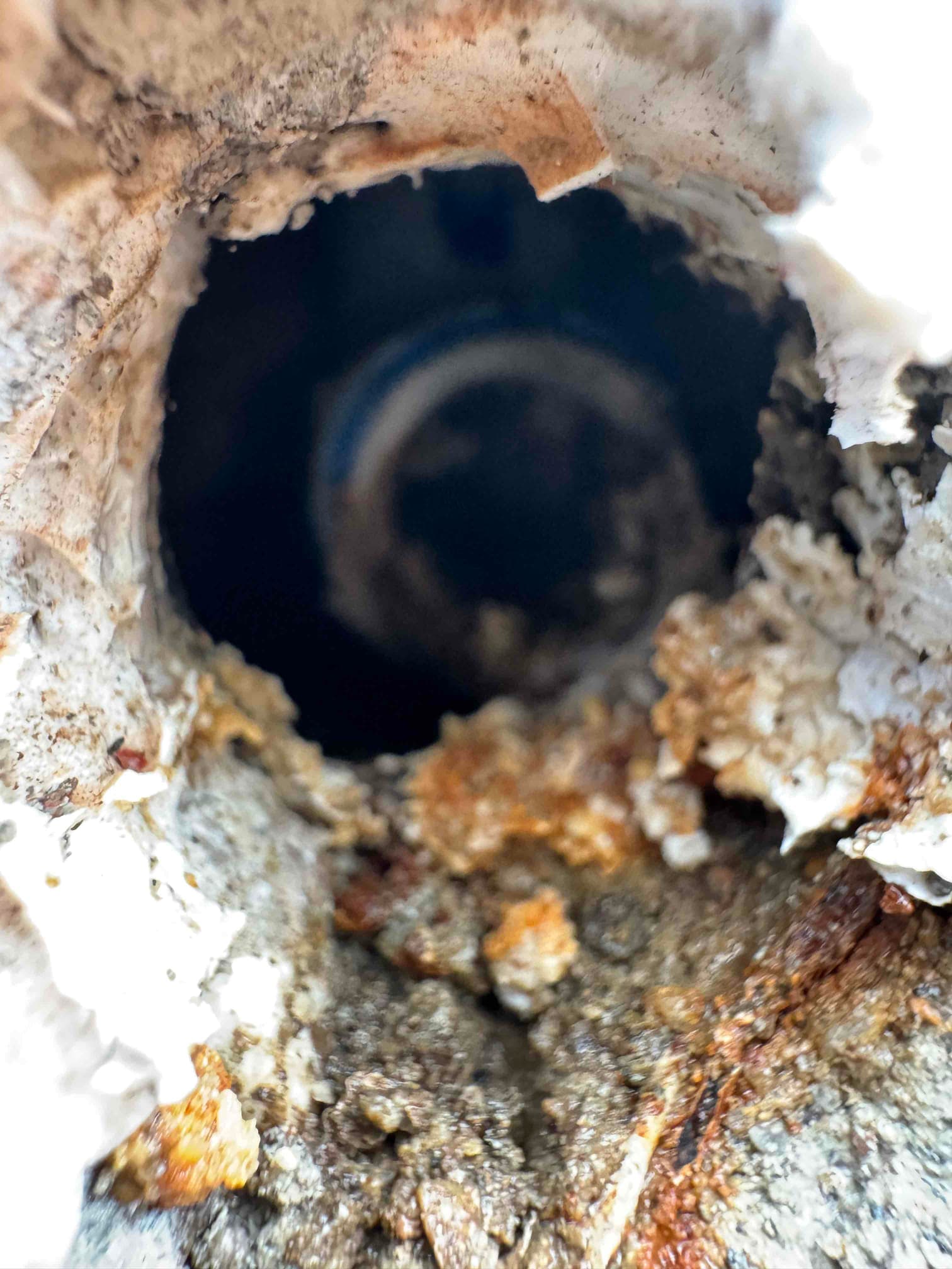 Close-up of a clogged condensate drain opening showing heavy rust, mineral buildup, and organic debris obstructing flow.