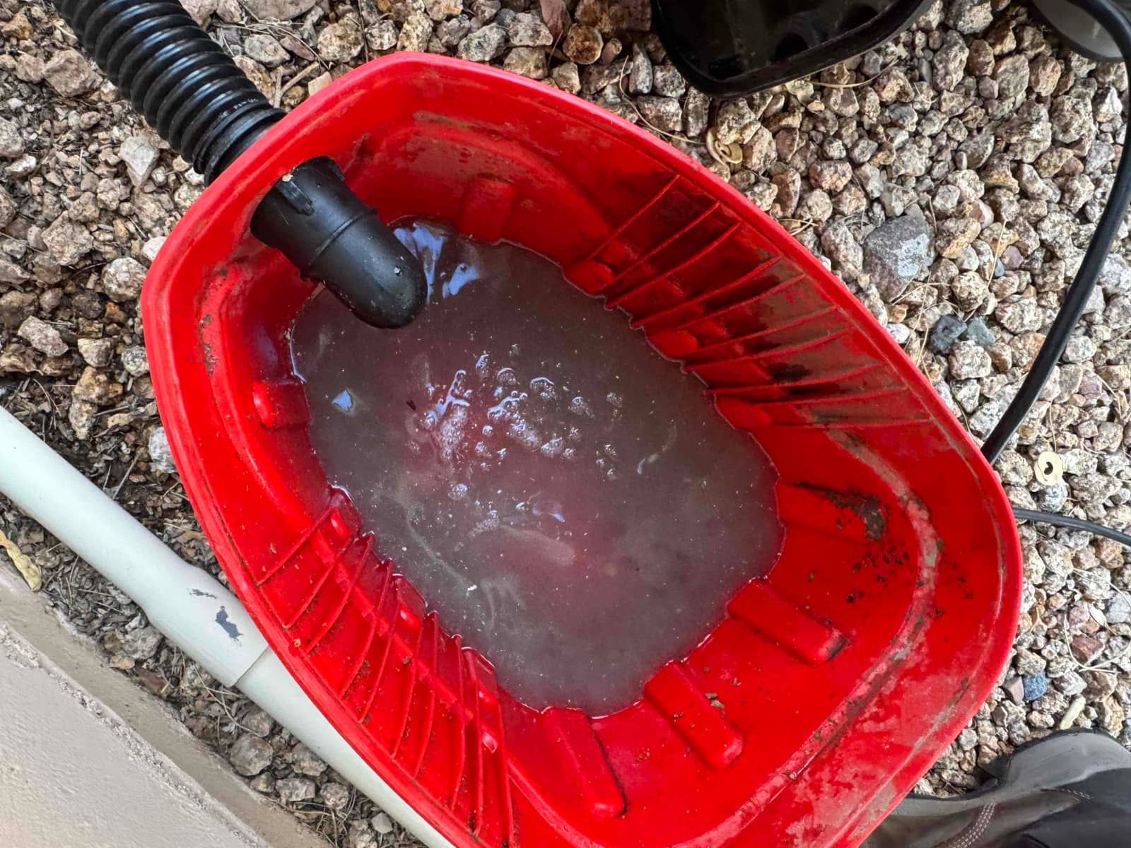 Condensate drain line discharges cloudy, debris-filled water into a red catch pan during cleaning service.