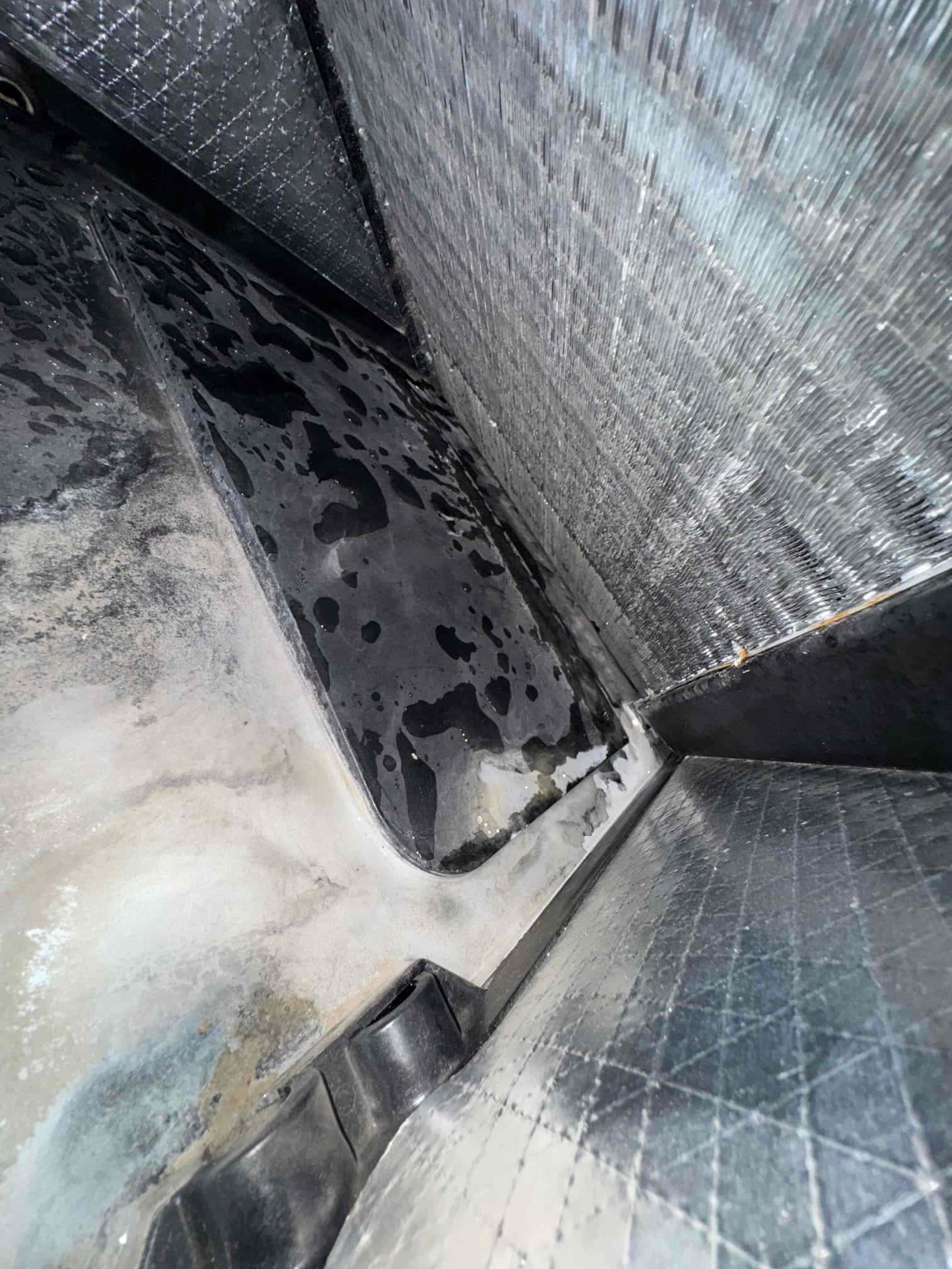 Evaporator coil and drain pan area show standing water and residue buildup inside the air handler cabinet.