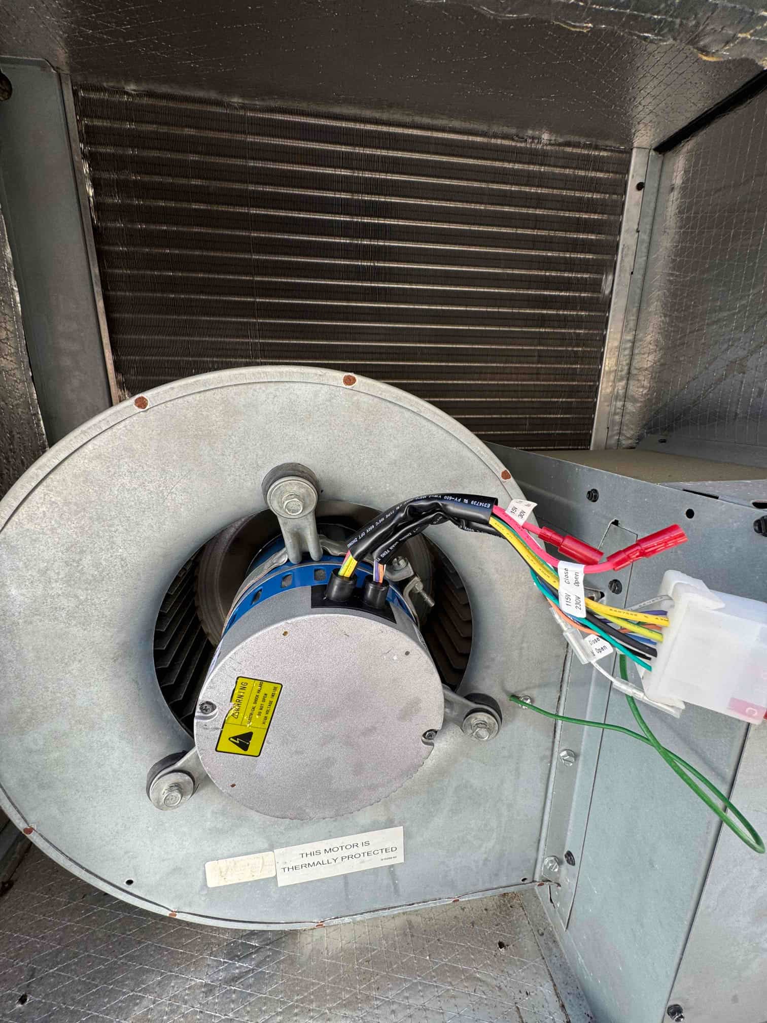 New indoor blower motor installed in the air handler, with color-coded wiring connected to the control harness.
