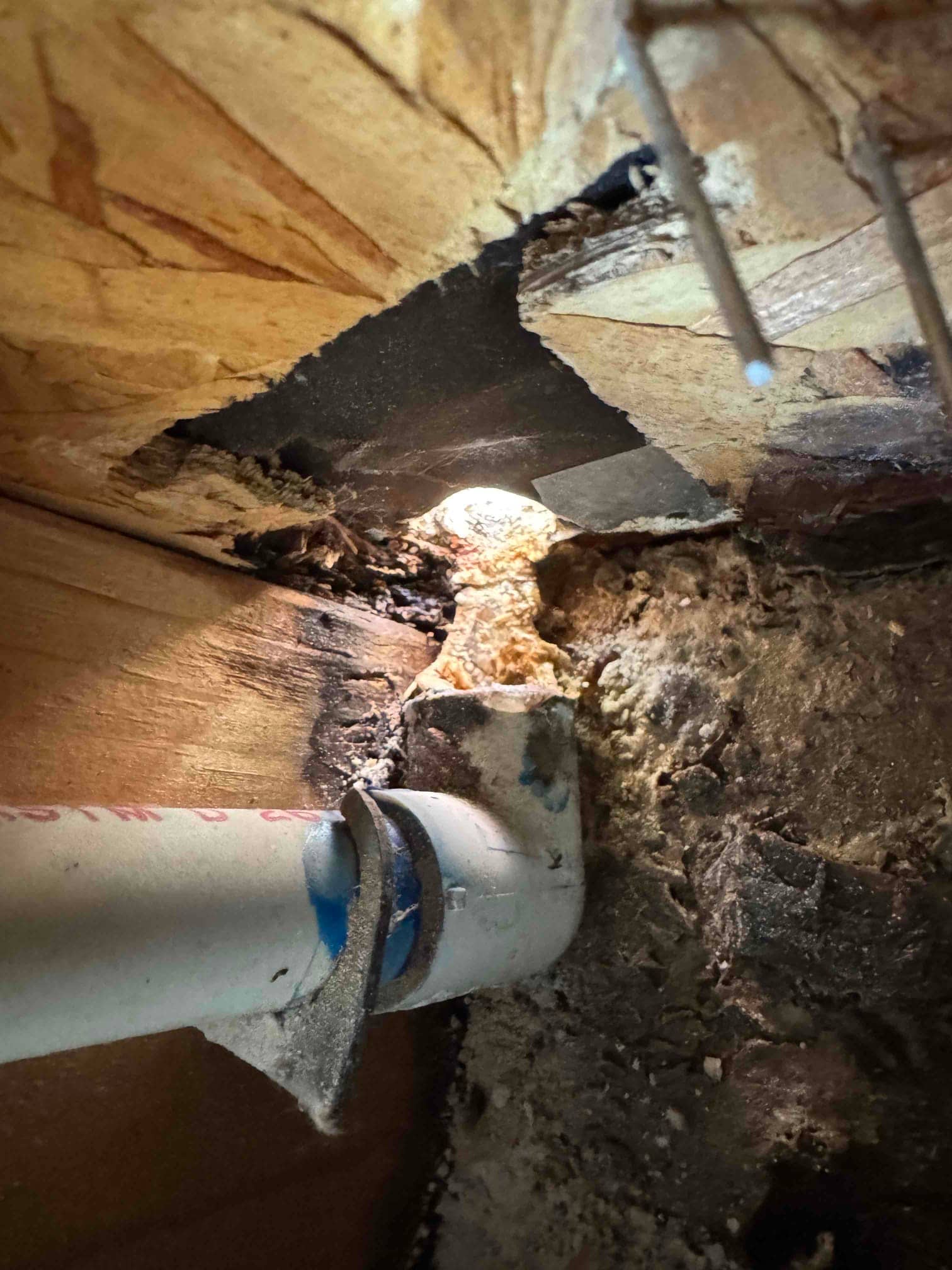 PVC condensate drain line secured with a metal strap, showing water damage and rot on surrounding wood structure.
