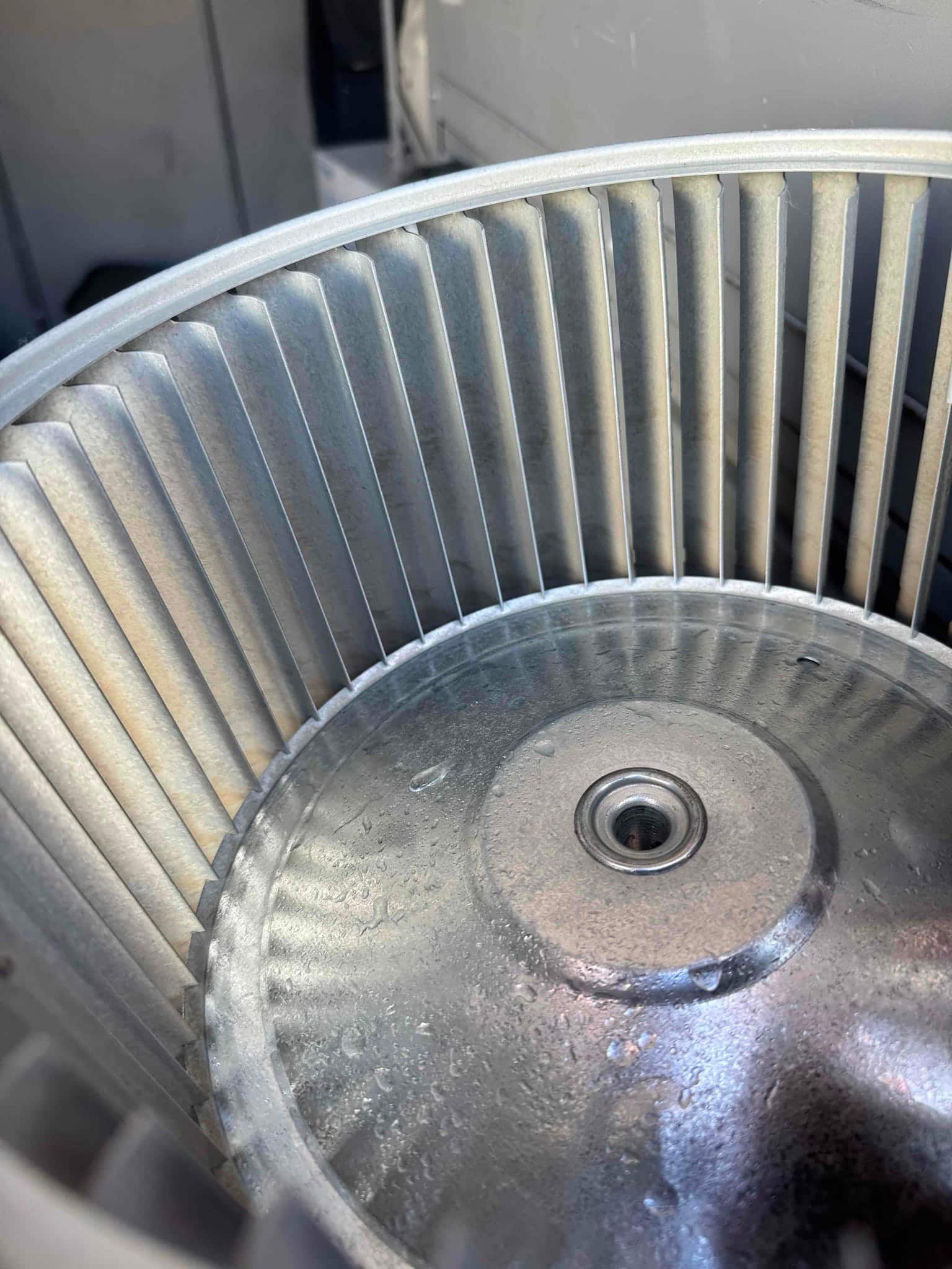 Clean blower wheel and hub inside the air handler, showing dust-free fins and reinstalled center bearing area.