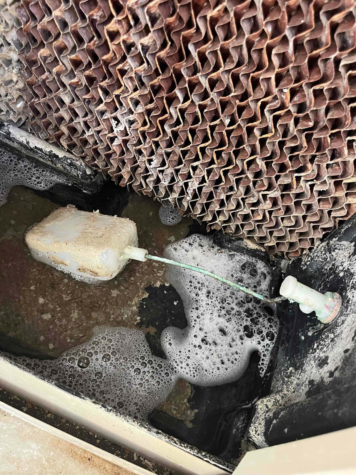Float valve assembly inside evaporative cooler sump, showing mineral buildup on the float and standing water around the pad.