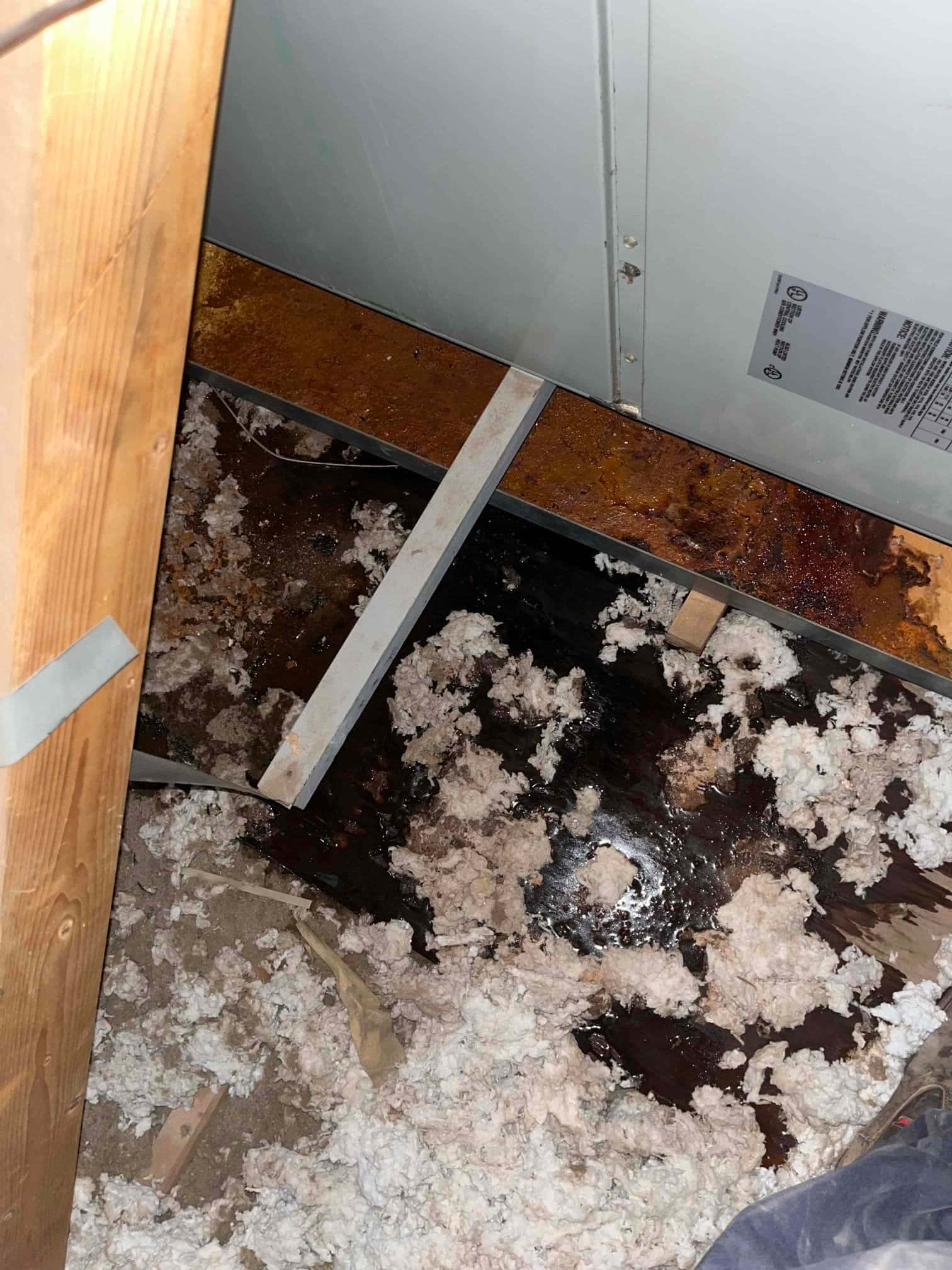 Attic air handler area with wet, rust-stained condensate drain pan and scattered insulation debris beneath the unit.