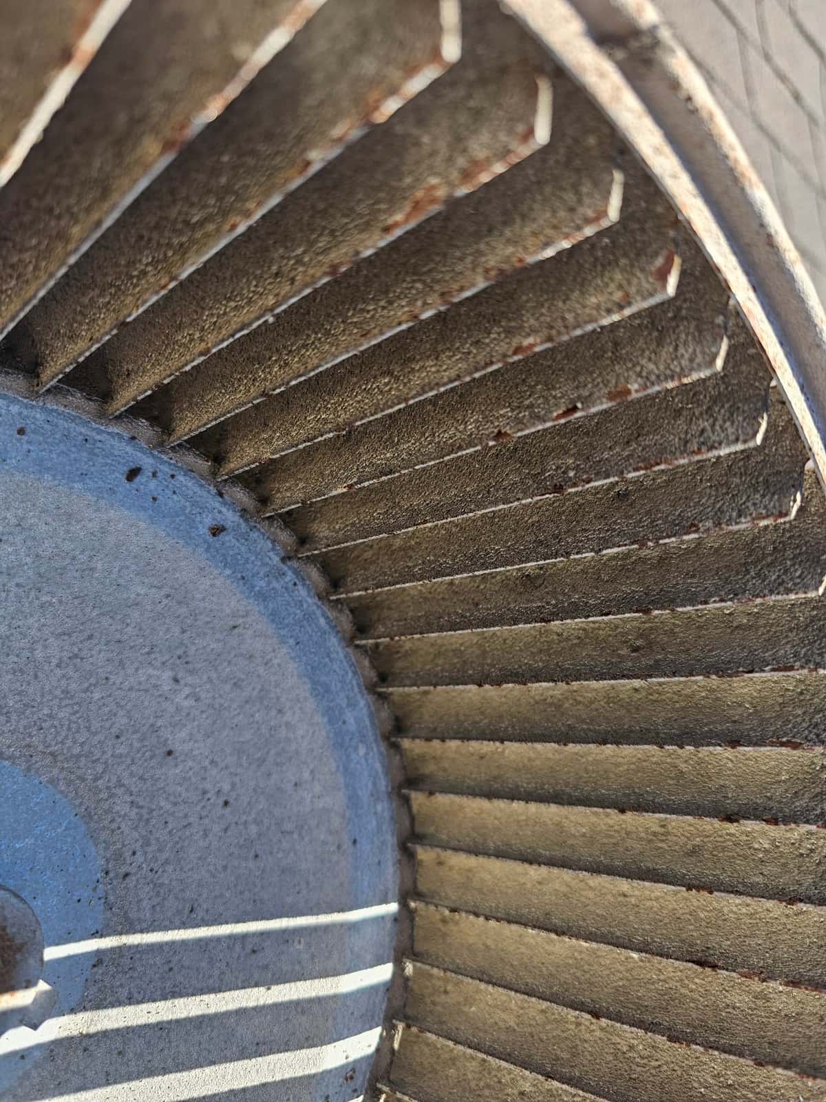 Close-up of a blower wheel showing dust buildup and rust on the blades and inner hub surface.