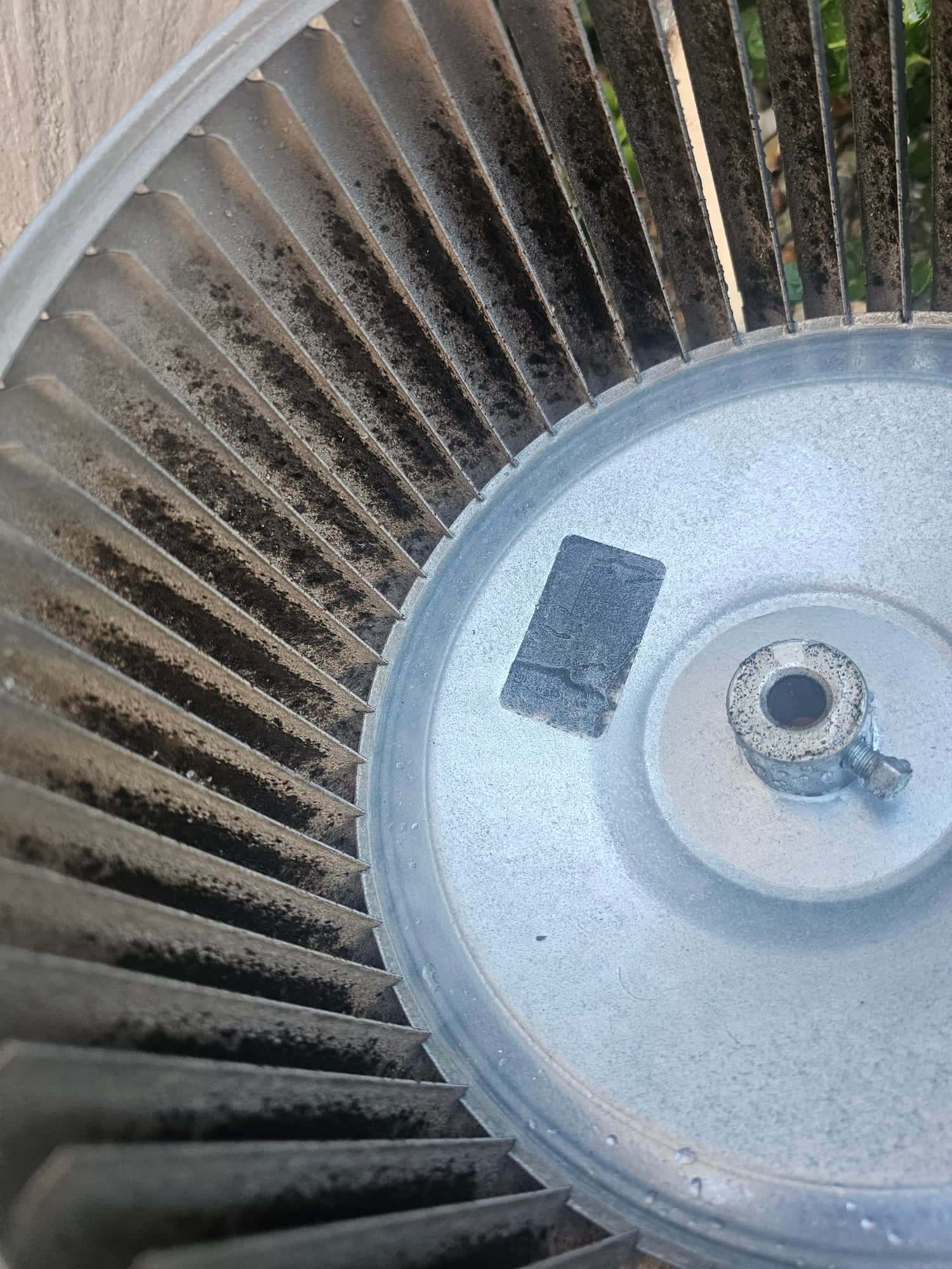 Close-up of an HVAC blower wheel showing accumulated dust on the fins before cleaning.