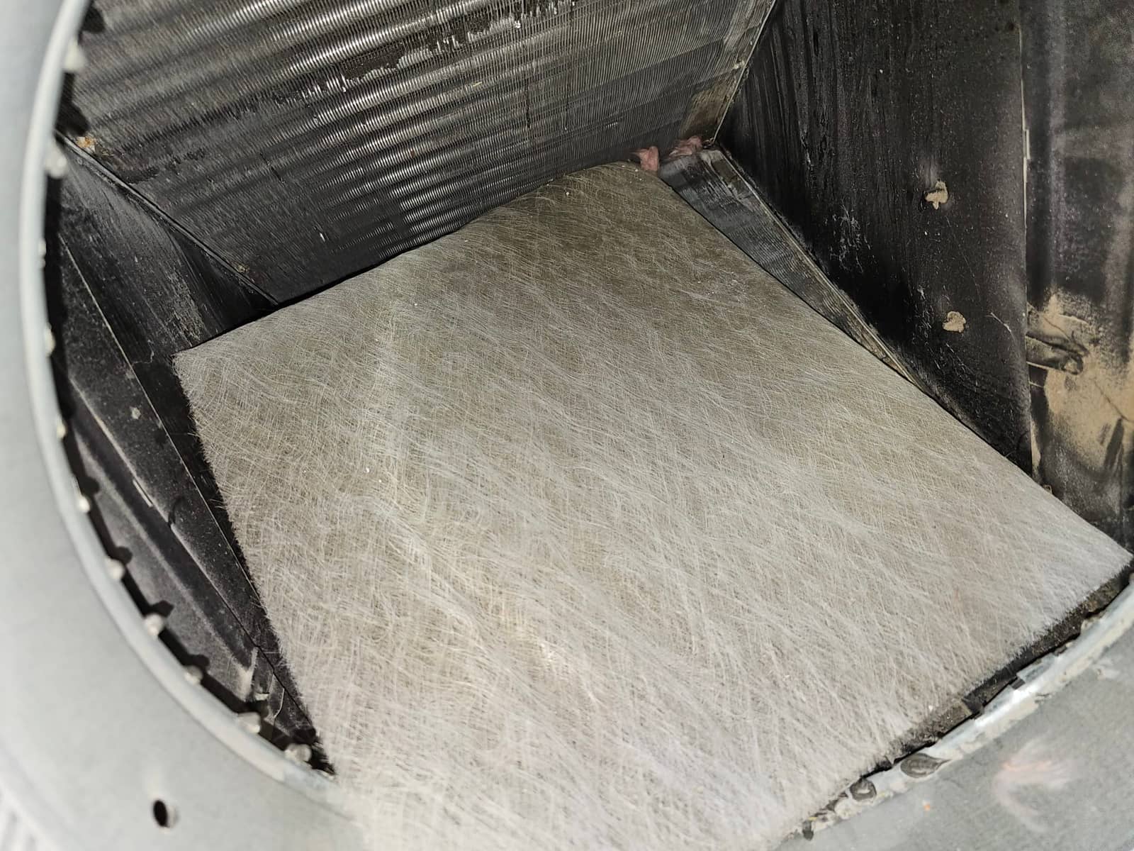 Evaporator A-coil inside the air handler cabinet with a white fiberglass filter pad lying horizontally below.