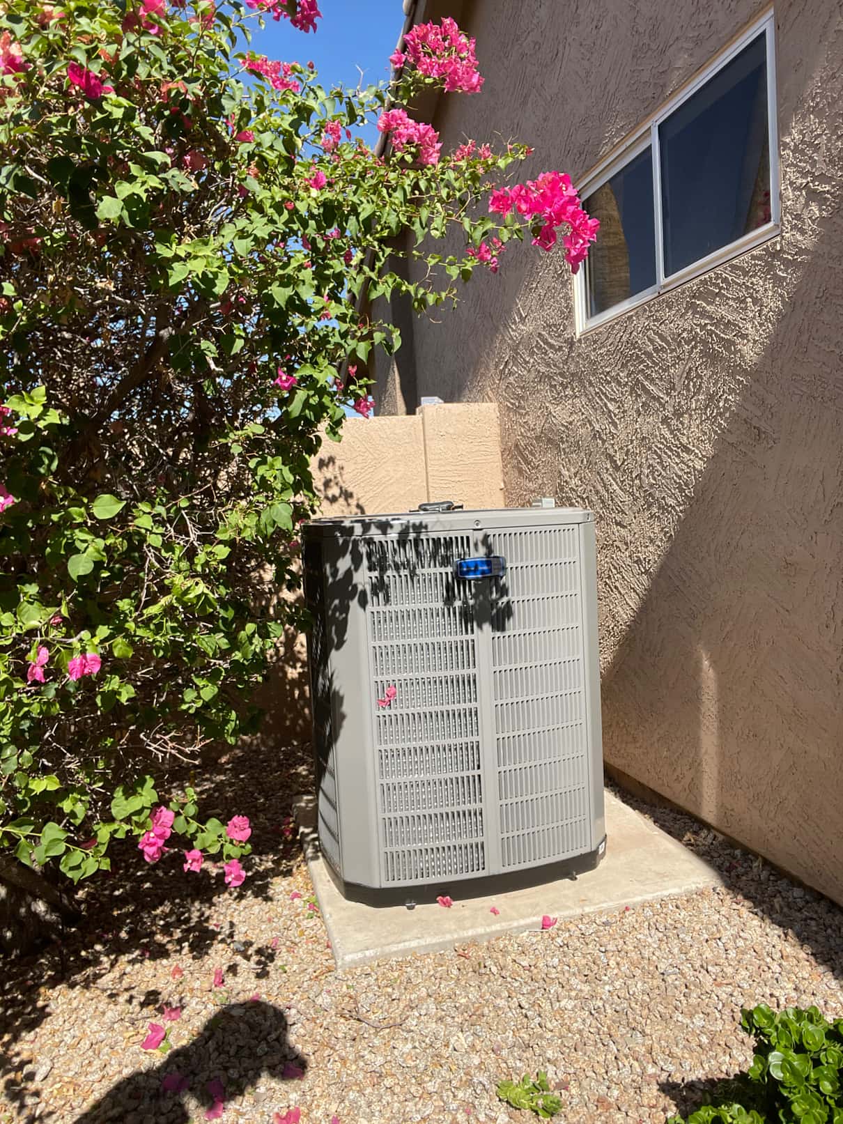 New outdoor condenser installed on a level pad beside the house, with surrounding landscaping and sealed wall penetration visible.
