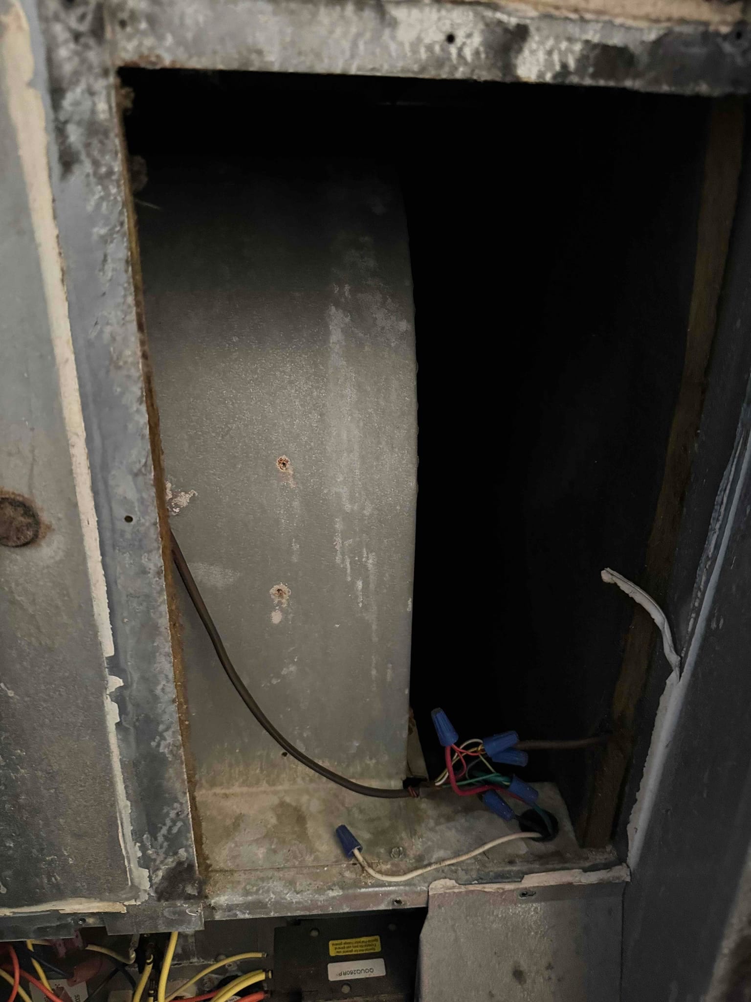 Open air handler cabinet showing blower housing, wiring with wire nuts, and corroded metal surfaces inside the unit.