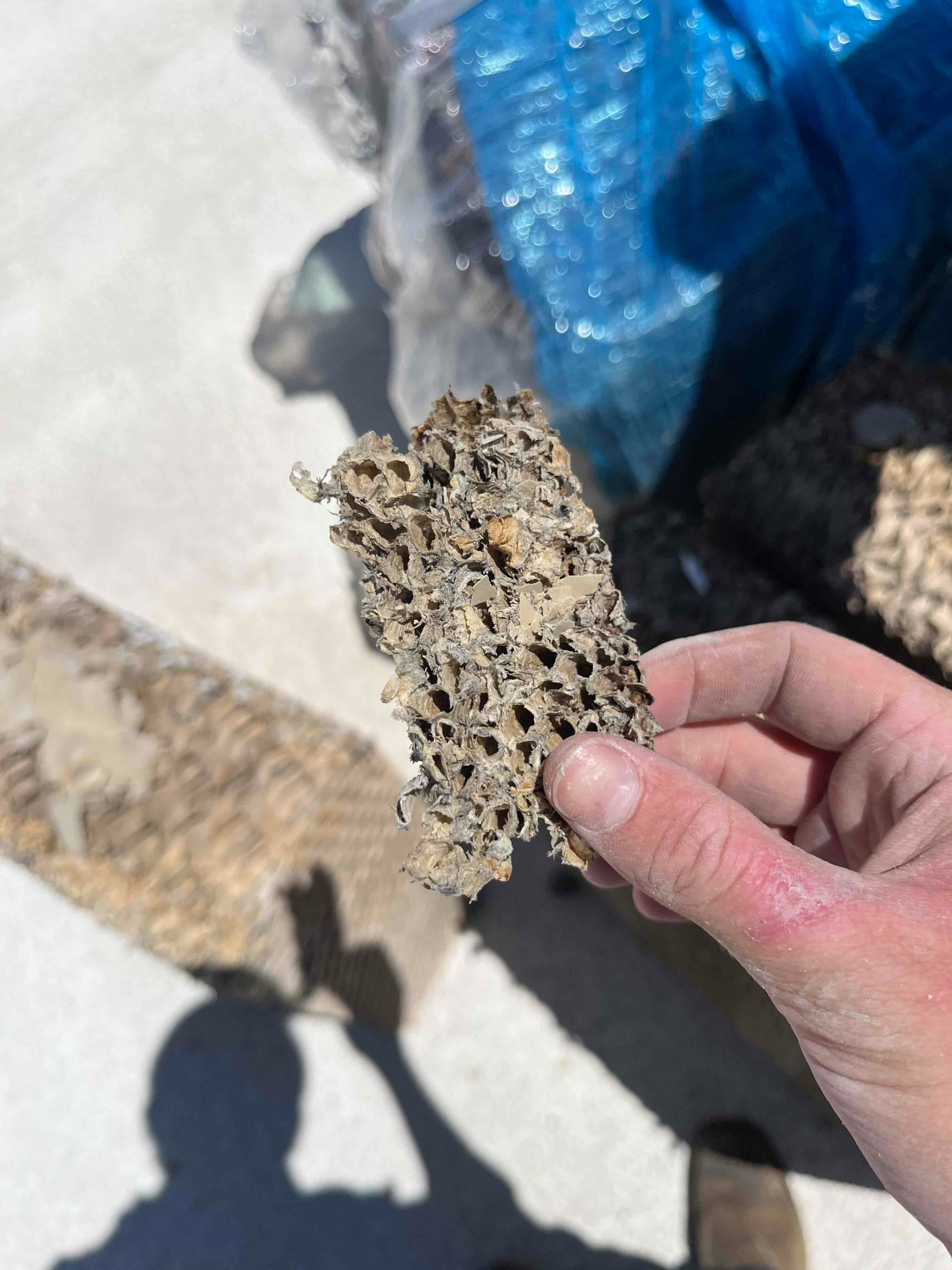 Technician holds a deteriorated evaporative cooler media pad segment, showing mineral buildup and crumbling cellulose structure after removal.