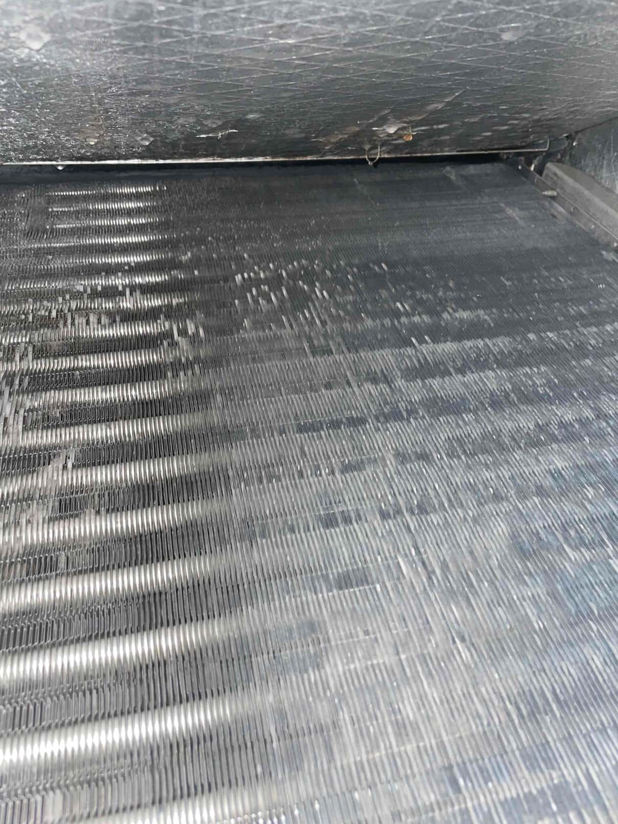Close-up of evaporator coil fins inside the air handler cabinet, showing clean, straight aluminum fins.