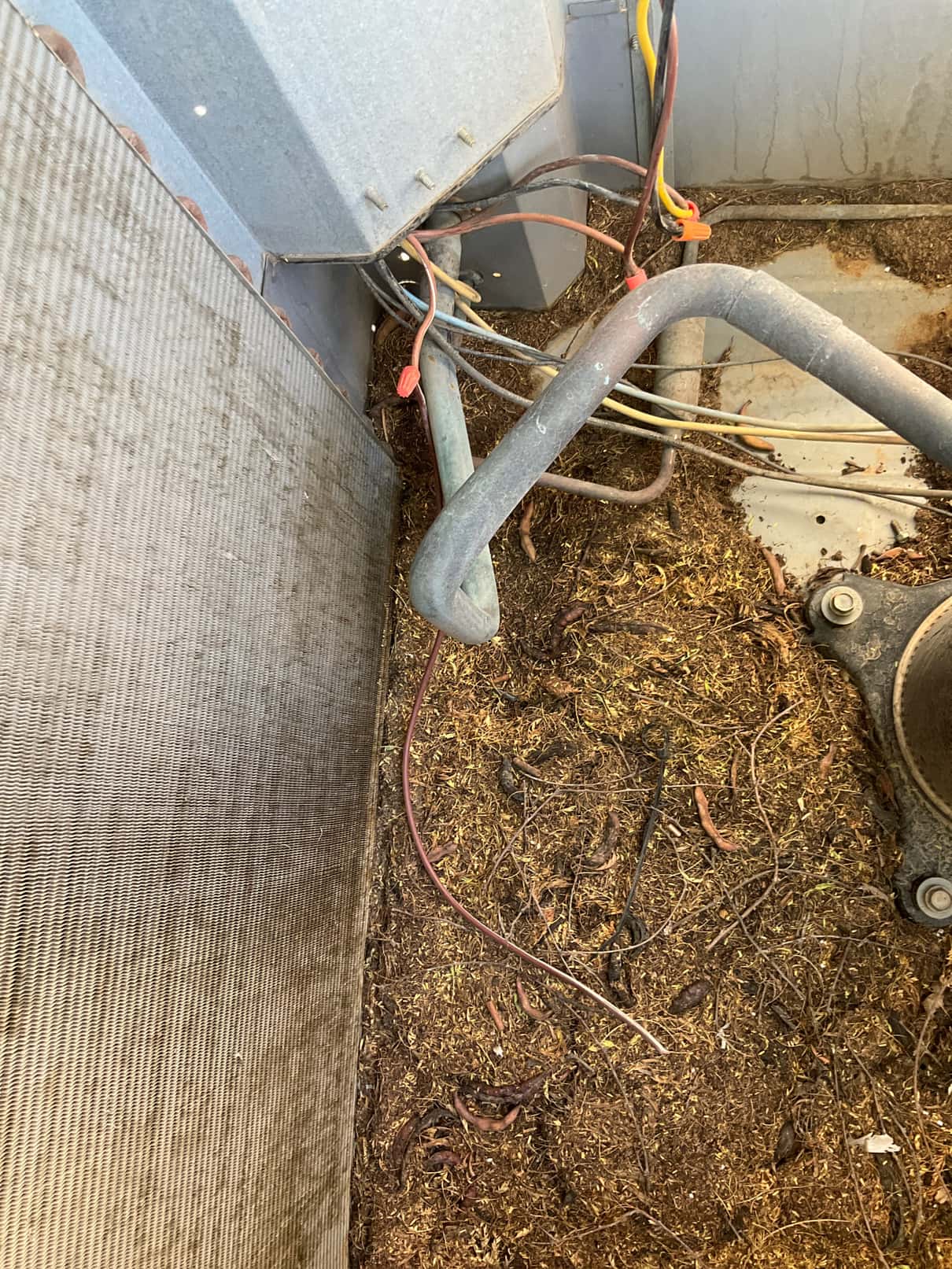 Interior of outdoor condenser shows coil, refrigerant tubing, wire connections, and heavy organic debris accumulated on the base near the fan mount.