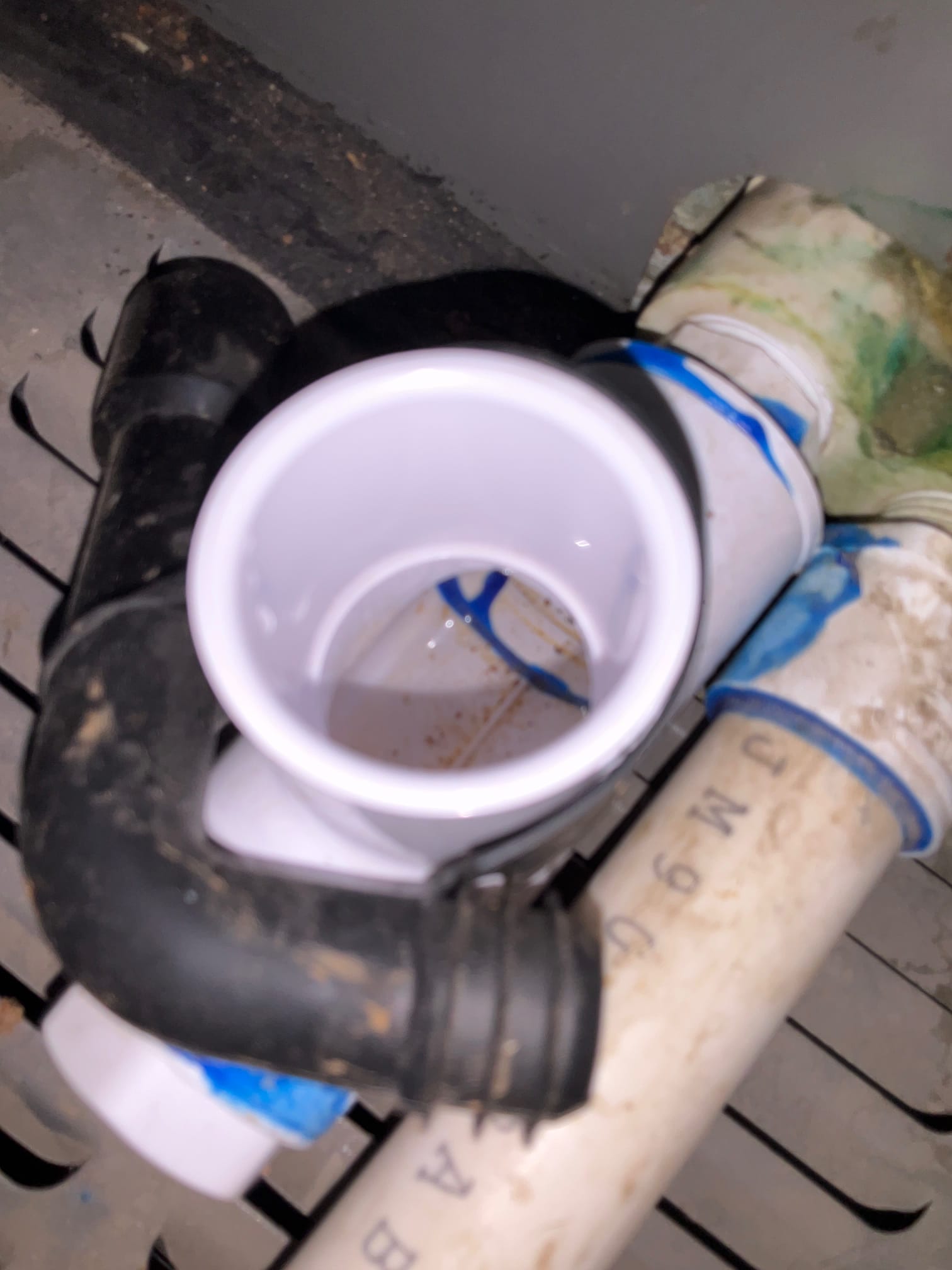 PVC condensate drain assembly with open cleanout tee, blue primer, and nearby black hose. Some water and sediment visible inside the tee.
