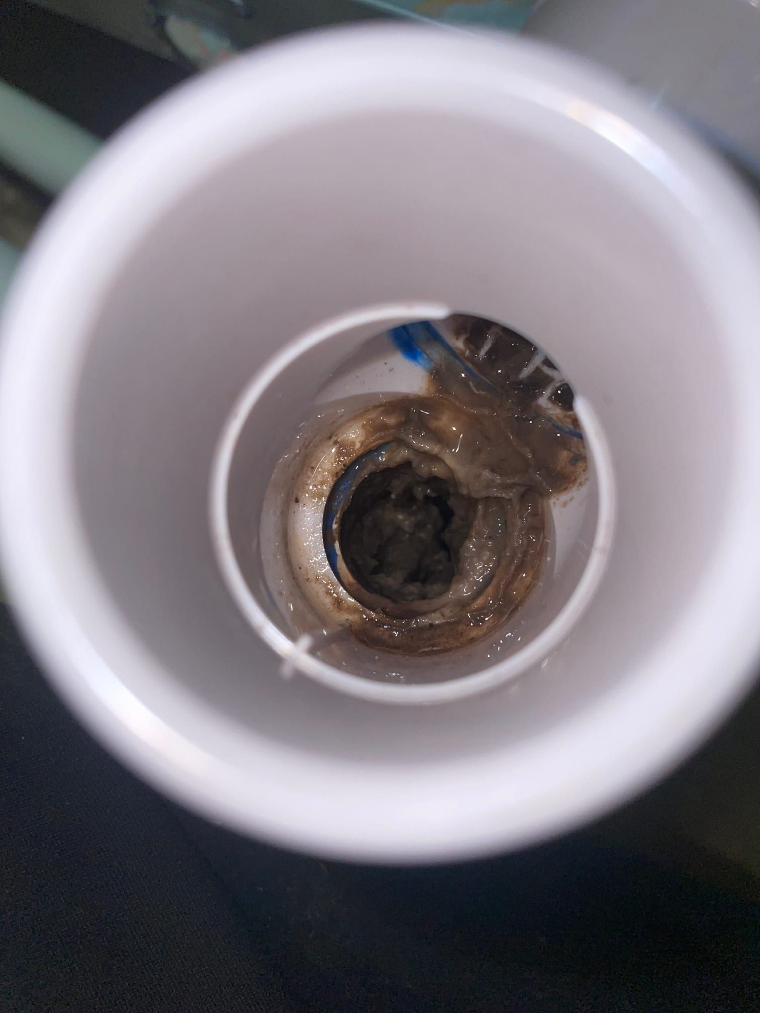 View down a white PVC drain opening showing brown sludge and moisture accumulation around the inner passage.