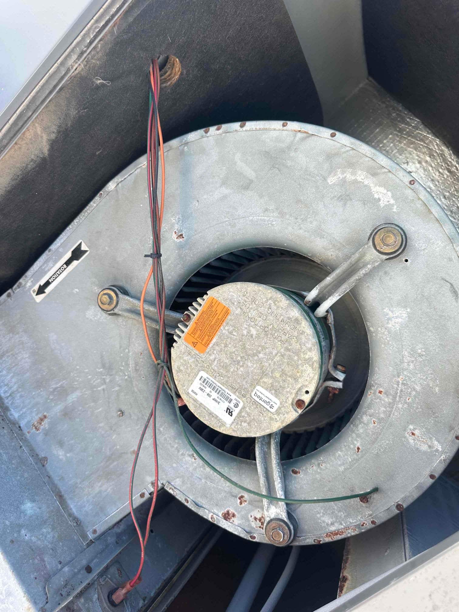 ECM X13 blower motor mounted on a squirrel-cage assembly inside an air handler, with attached wiring harness visible.