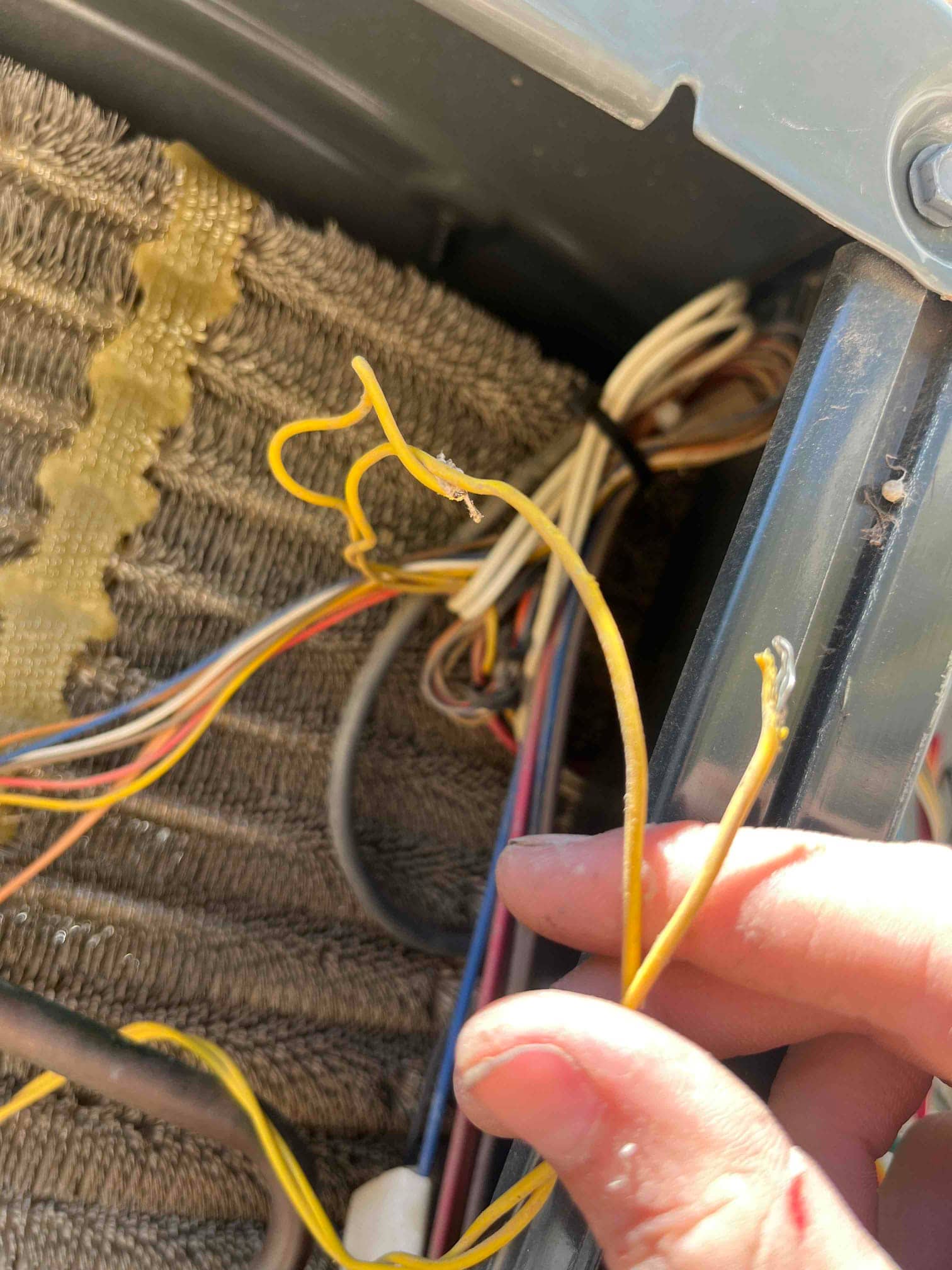 Exposed, damaged yellow control wires near the evaporator coil and wiring bundle inside the air handler cabinet.