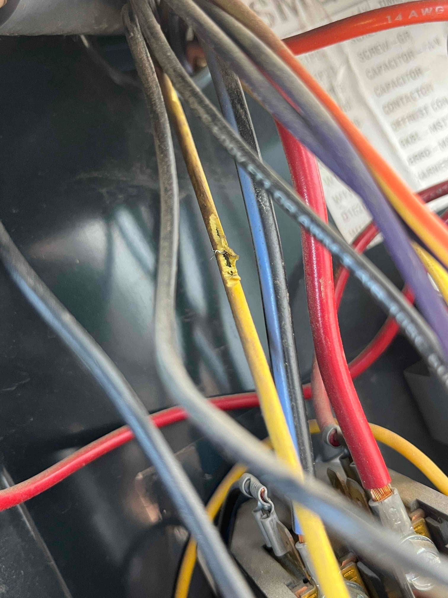 Close-up of furnace control wiring showing a damaged yellow wire with exposed conductor among intact red, black, and purple leads.