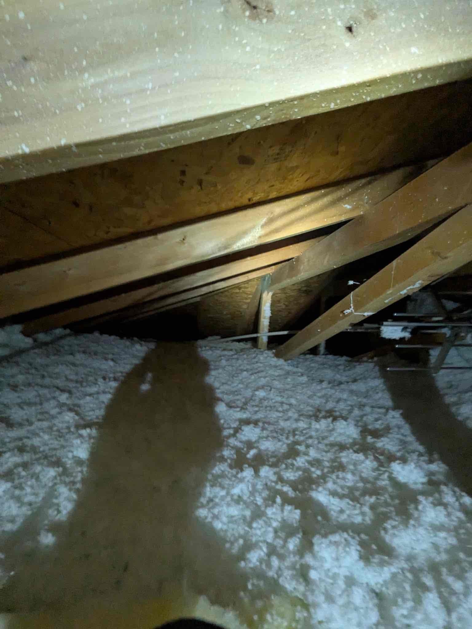 Attic space with blown-in insulation and roof trusses visible, documented during HVAC installation access and routing pathway.