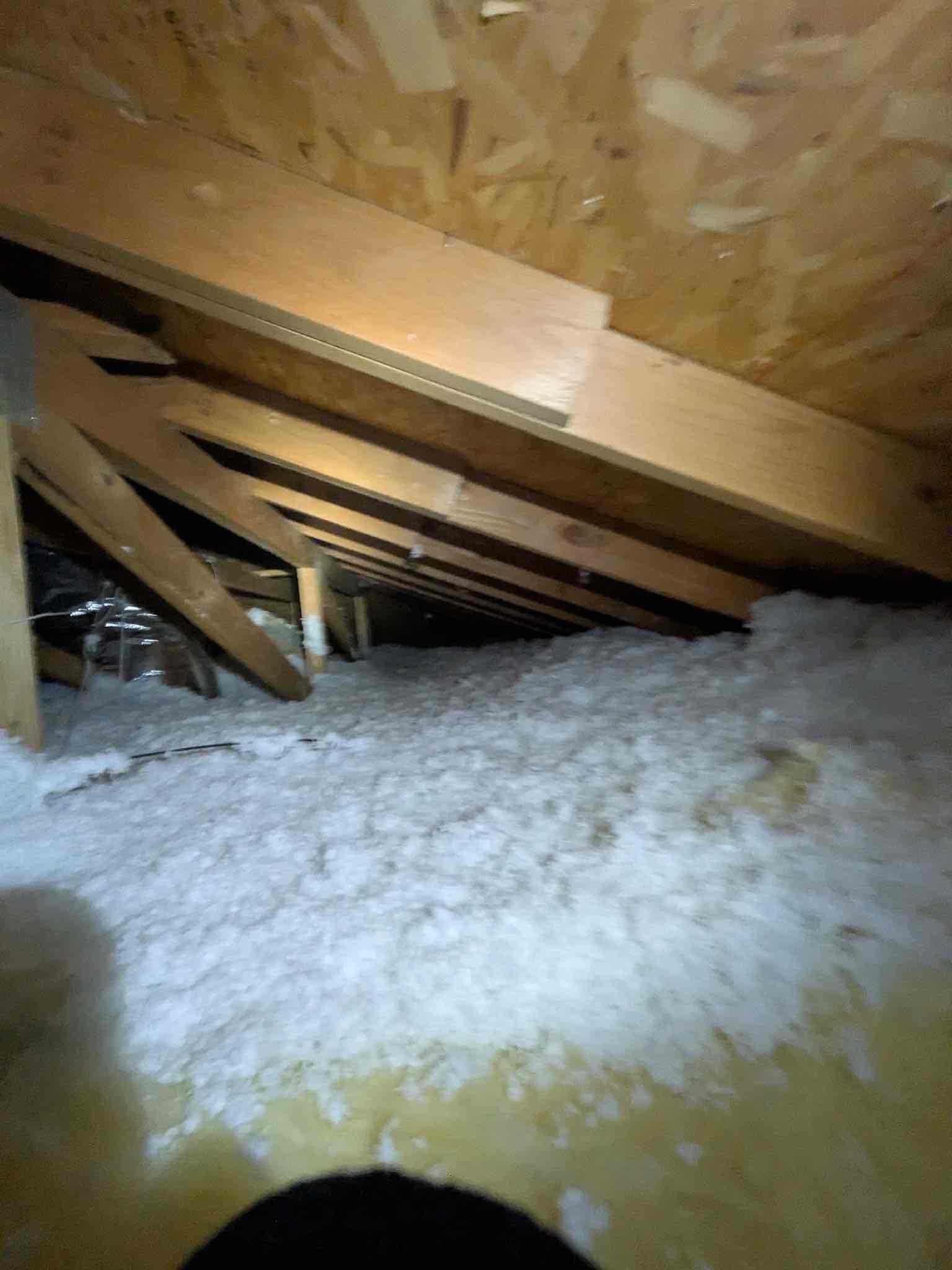 Attic view showing roof trusses, blown-in insulation, and a section of flexible ductwork near the eave.
