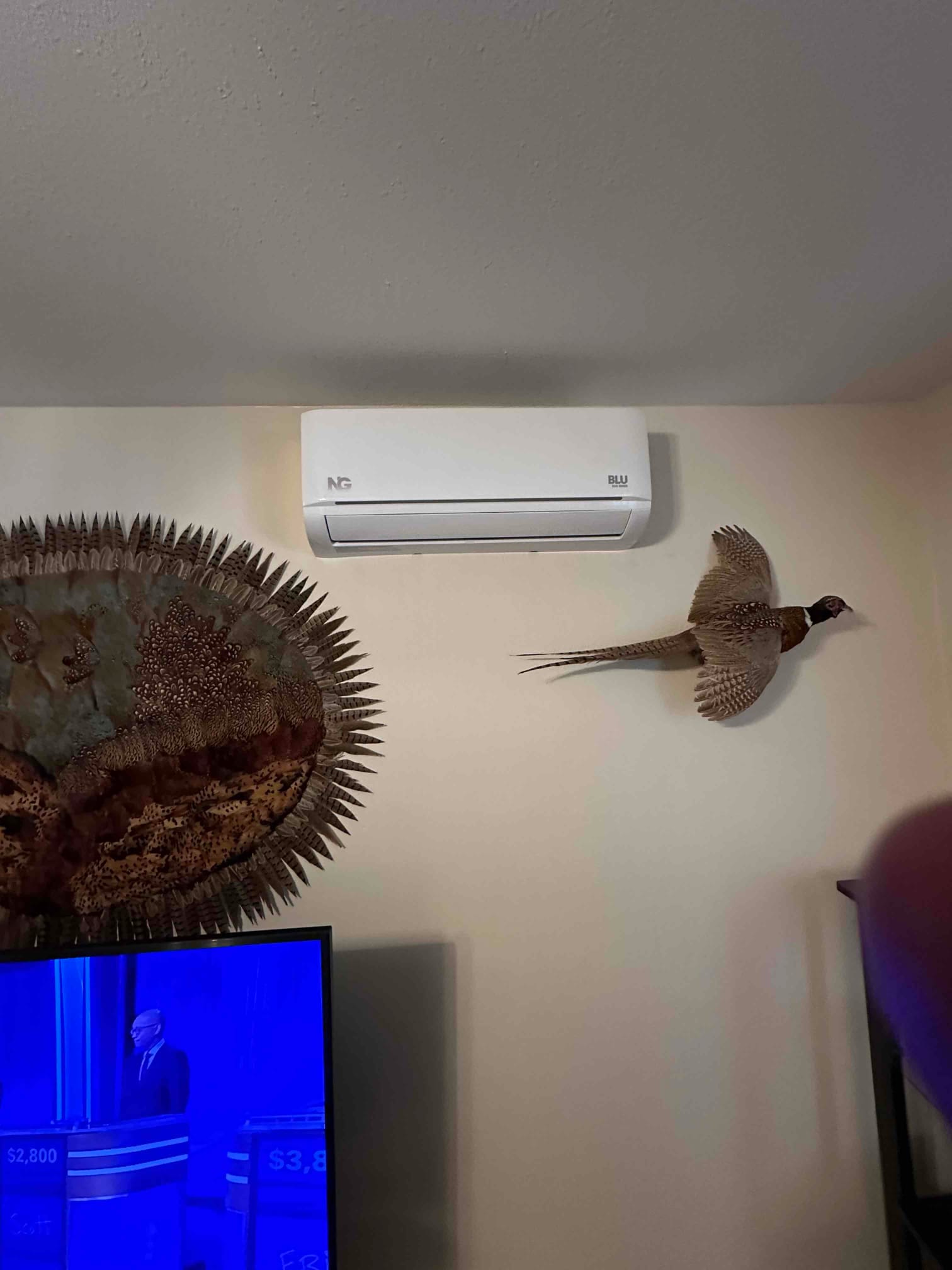 Wall-mounted ductless indoor unit installed level on interior wall, with front panel closed and room decor surrounding the area.