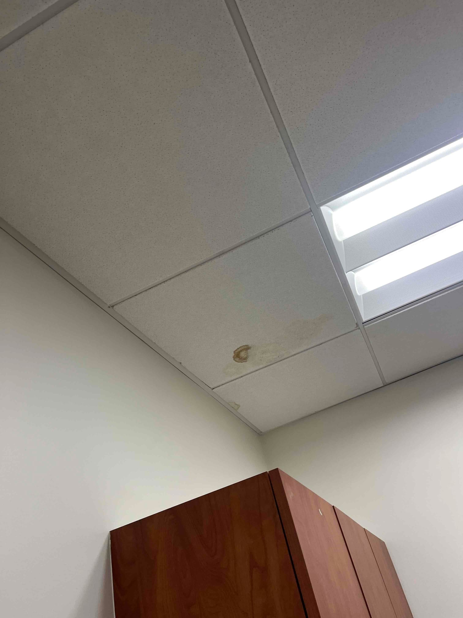 Discolored acoustic ceiling tile shows circular water stain beneath fluorescent lights near a cabinet, indicating moisture intrusion from above.