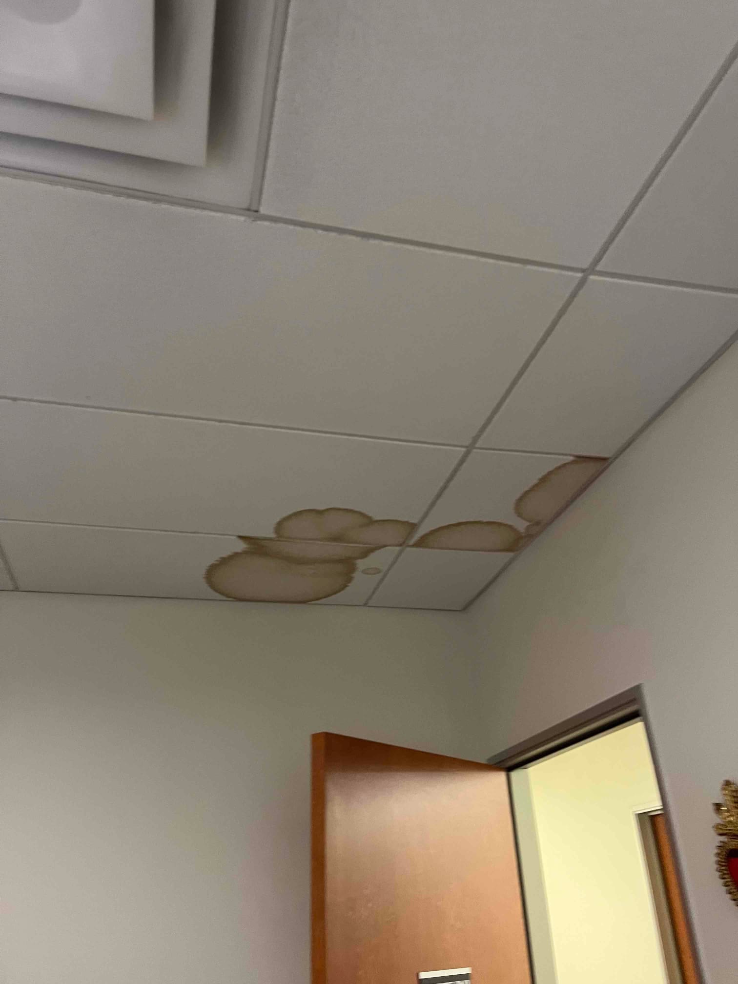 Office drop ceiling shows multiple brown water stains around tiles near a doorway, indicating moisture intrusion from above.