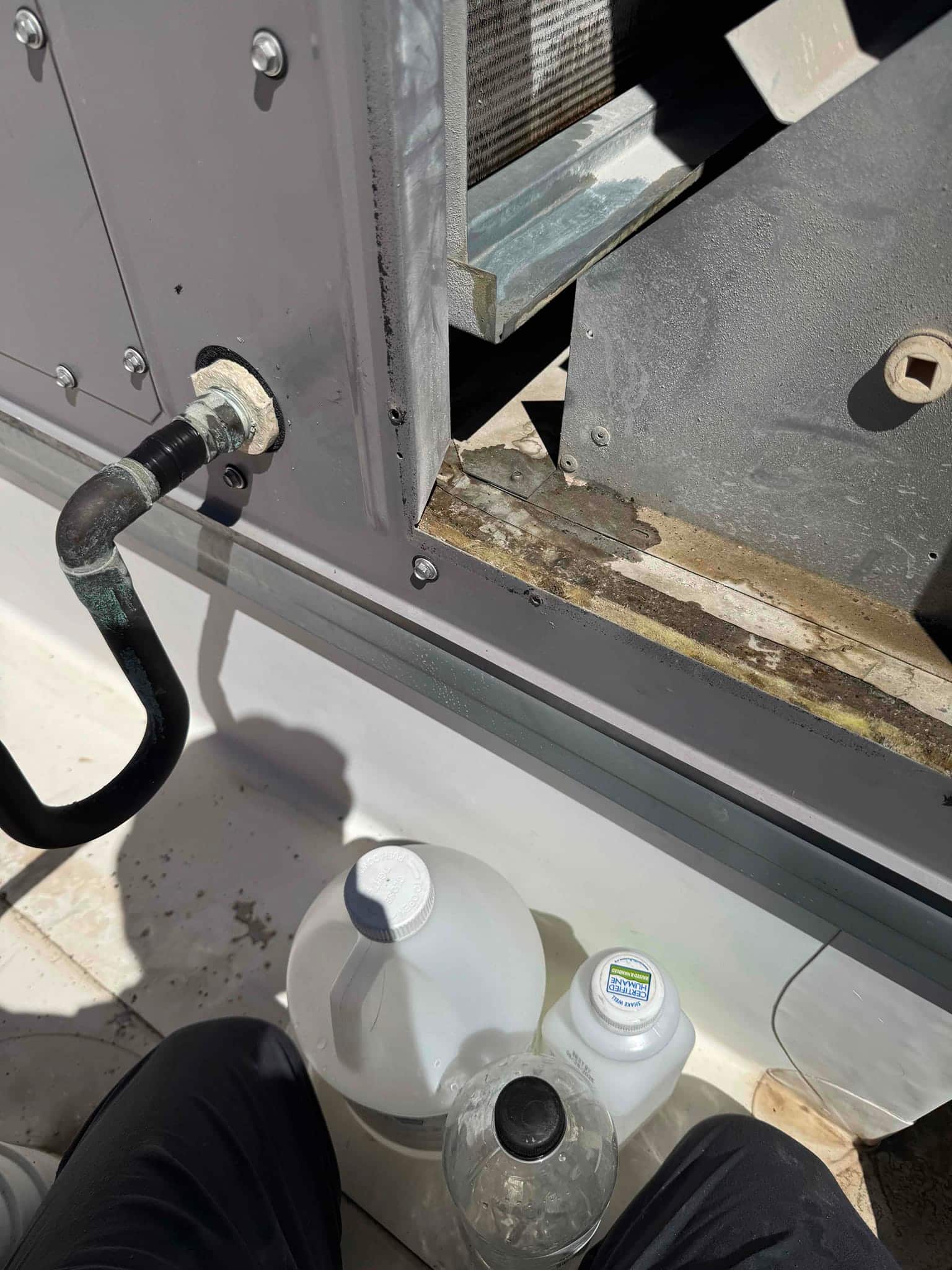Open rooftop air conditioner access panel shows coil edge, suction line connection, and corroded drain pan with cleaning jugs nearby.