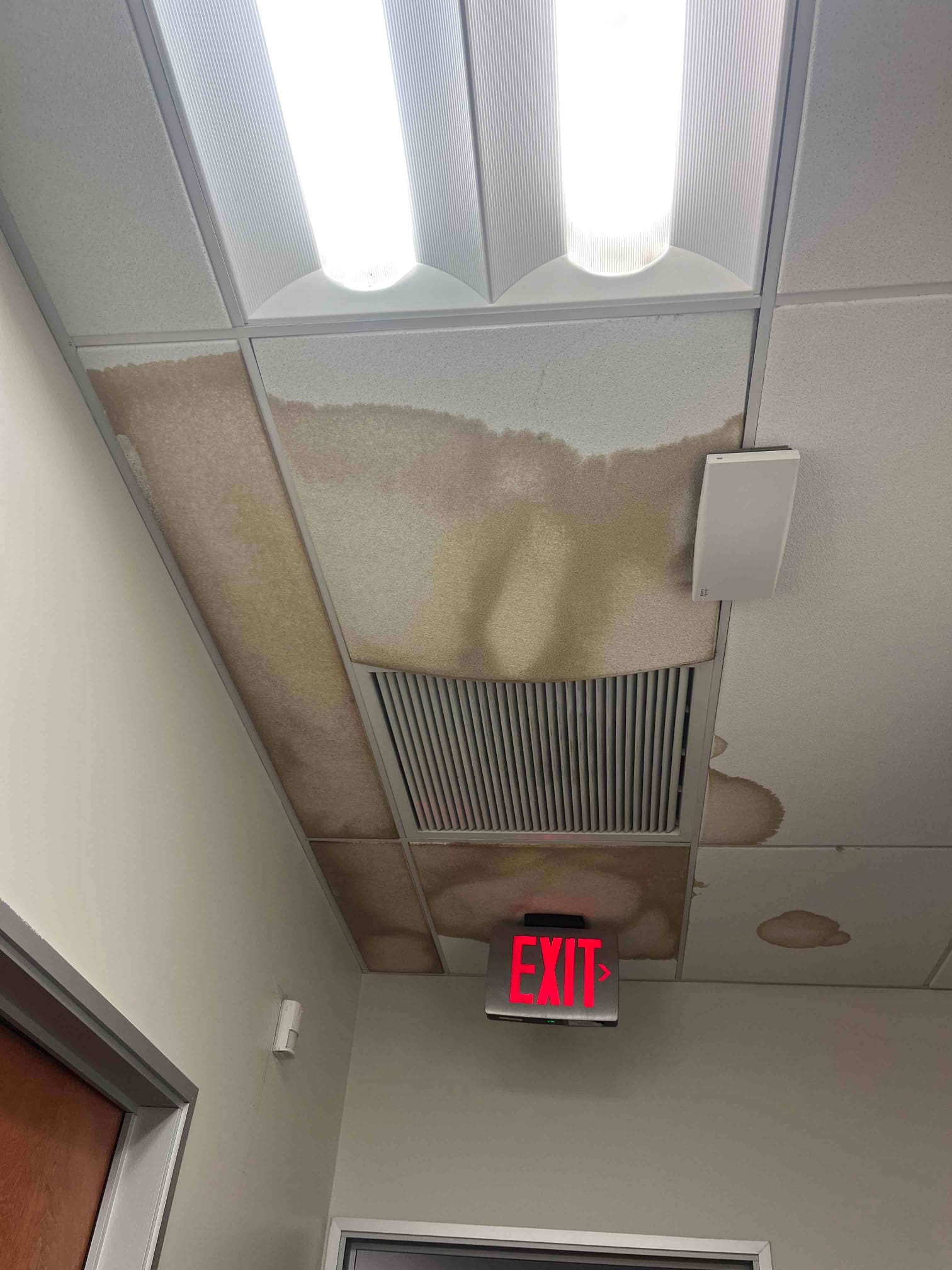 Water-stained acoustic ceiling tiles around a return air grille near an exit sign inside a commercial building.