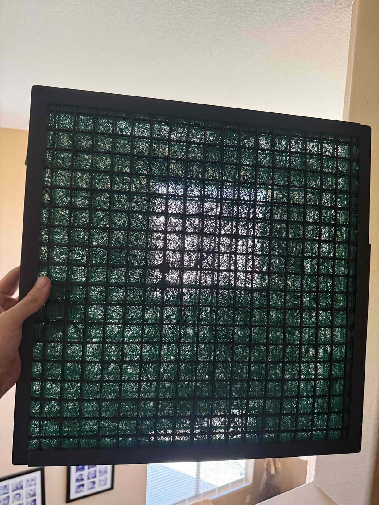 Square washable air filter with plastic grid and green fiber media, held up to indoor light.