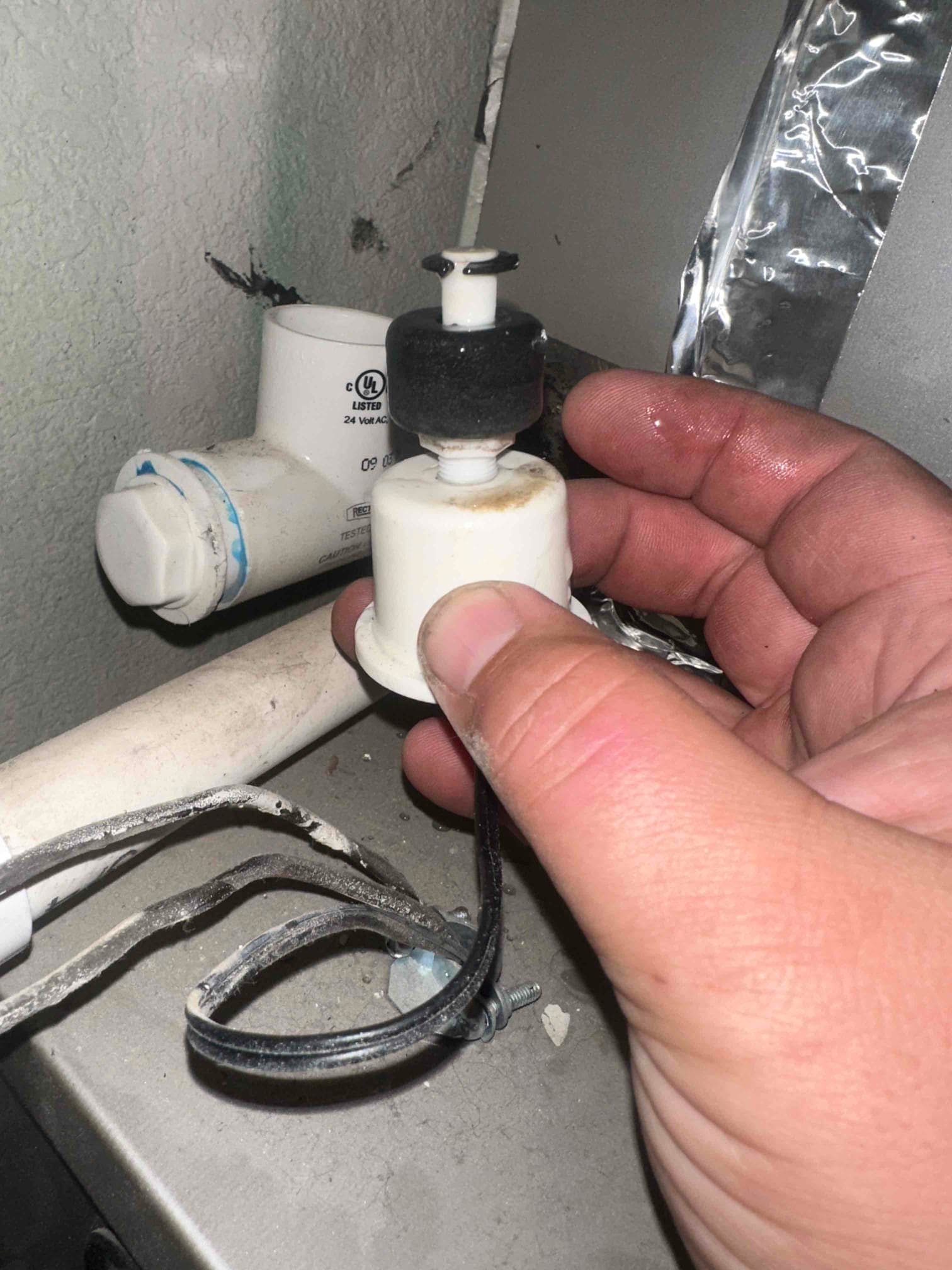 Condensate drain tee with a float switch being lifted out, showing attached wires and moisture around the fitting.