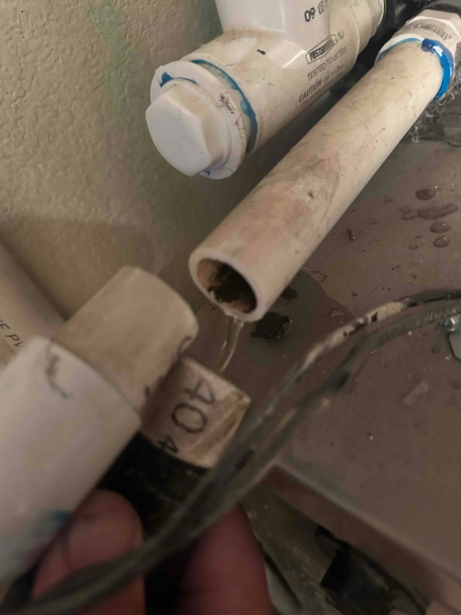 PVC condensate drain line sections disconnected, with a tee and cleanout cap nearby, water droplets visible at the opening.
